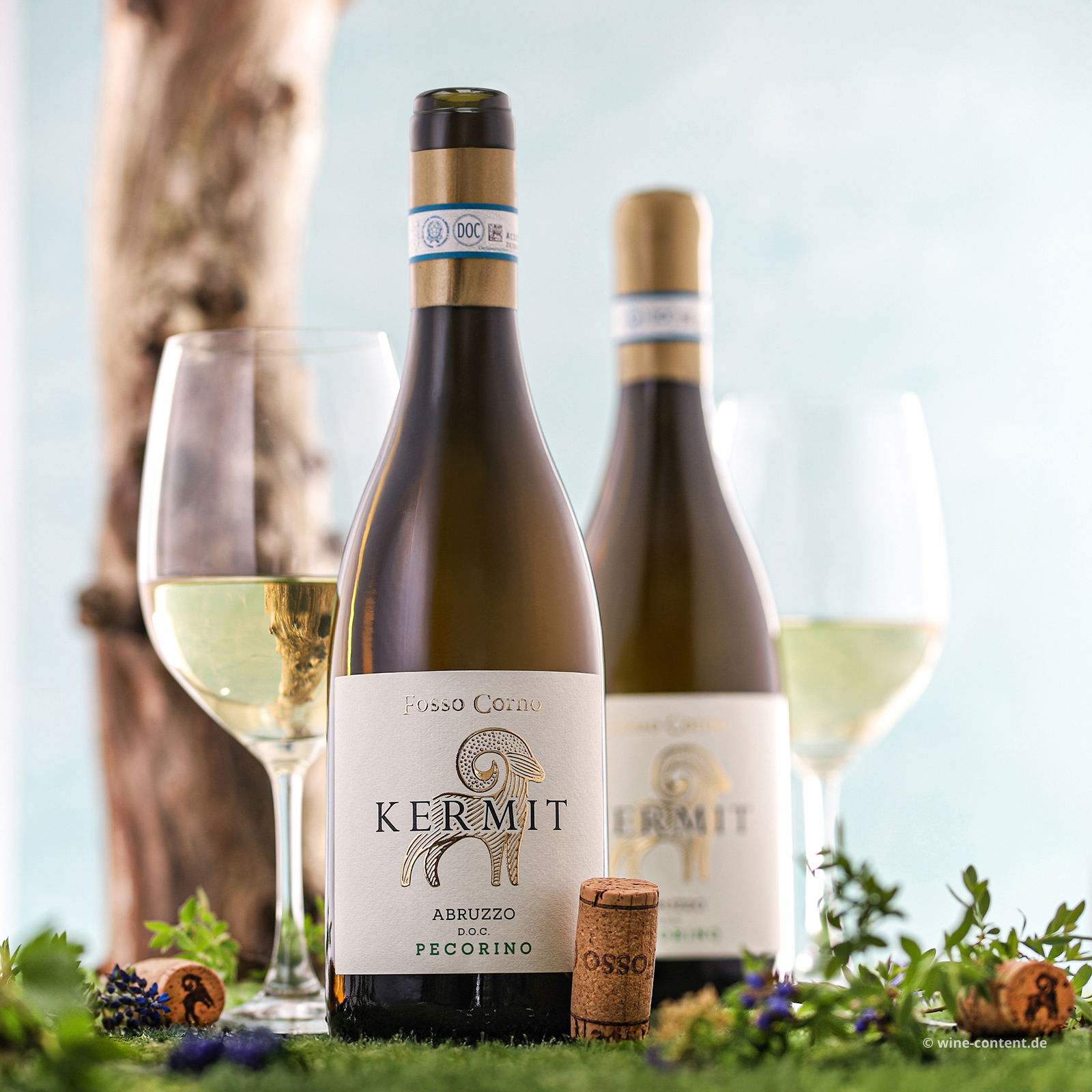 Pecorino Abruzzo 2023 Kermit