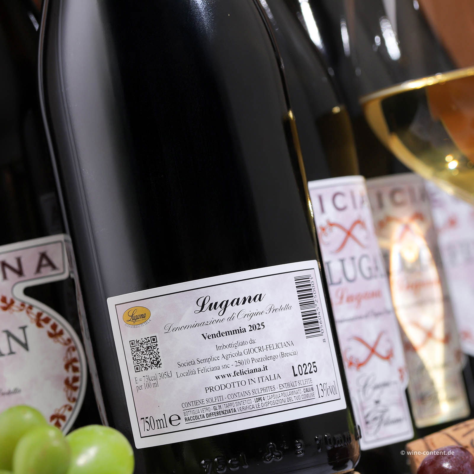 9er-Sparpaket Lugana 2025 Felugan