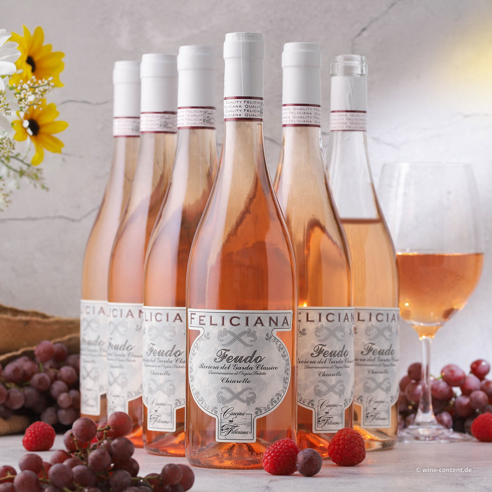 6er-Sparpaket Chiaretto Garda Classico 2025 Feudo