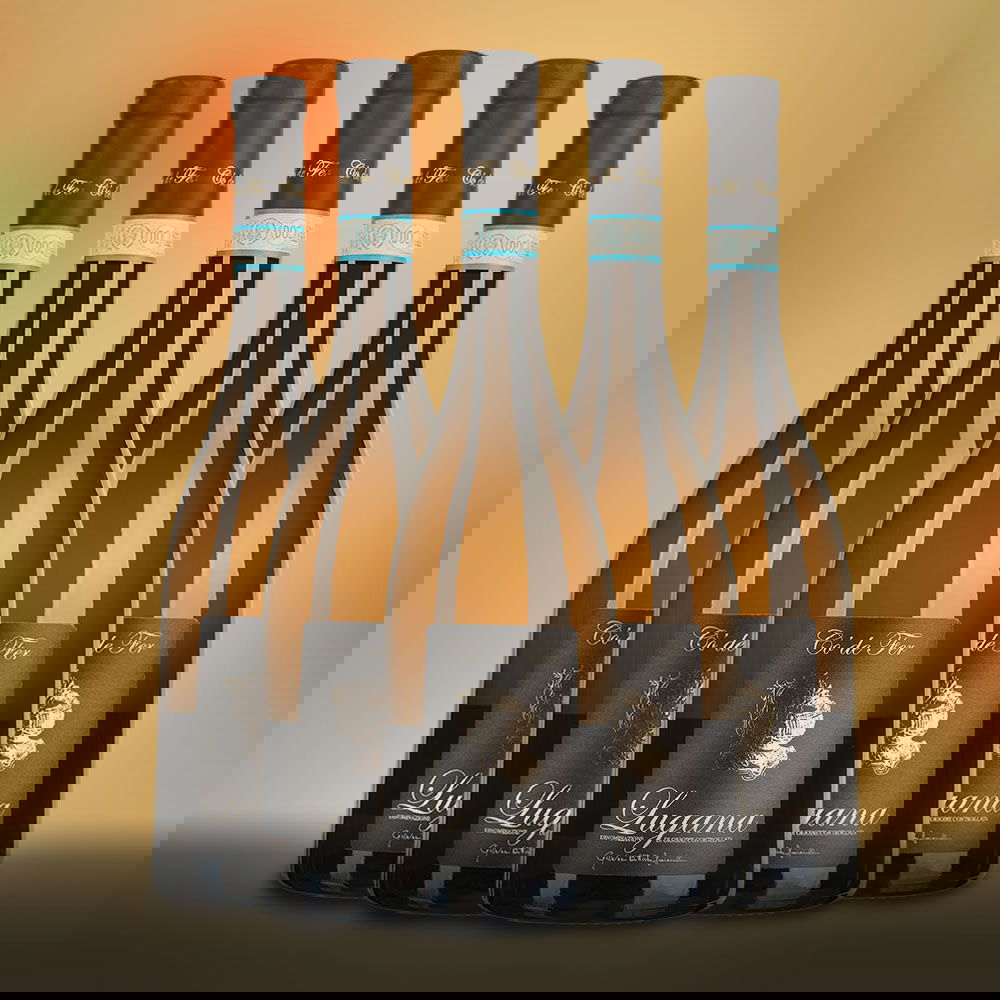 6er-Sparpaket Lugana 2024 Cò de Fer