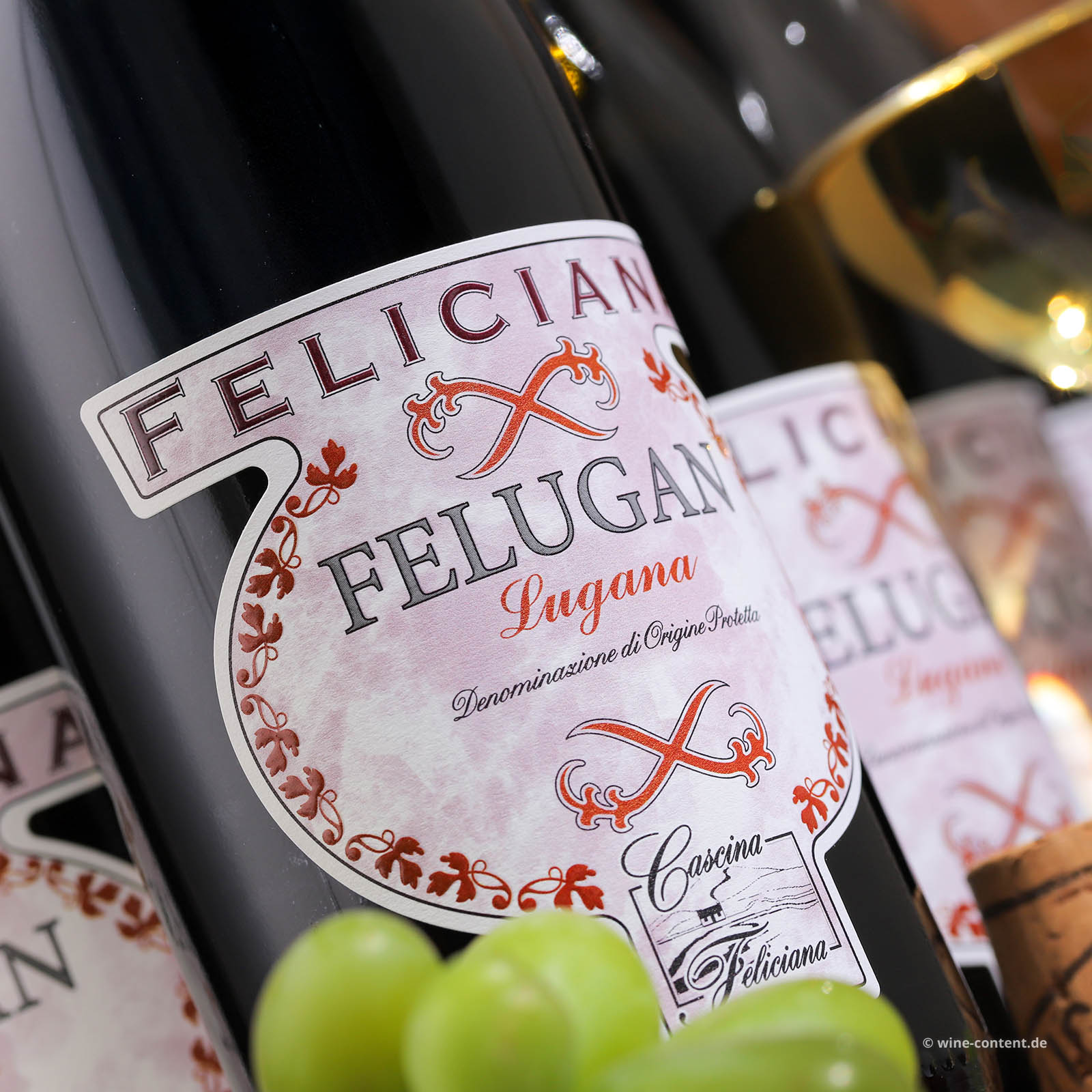 9er-Sparpaket Lugana 2024 Felugan