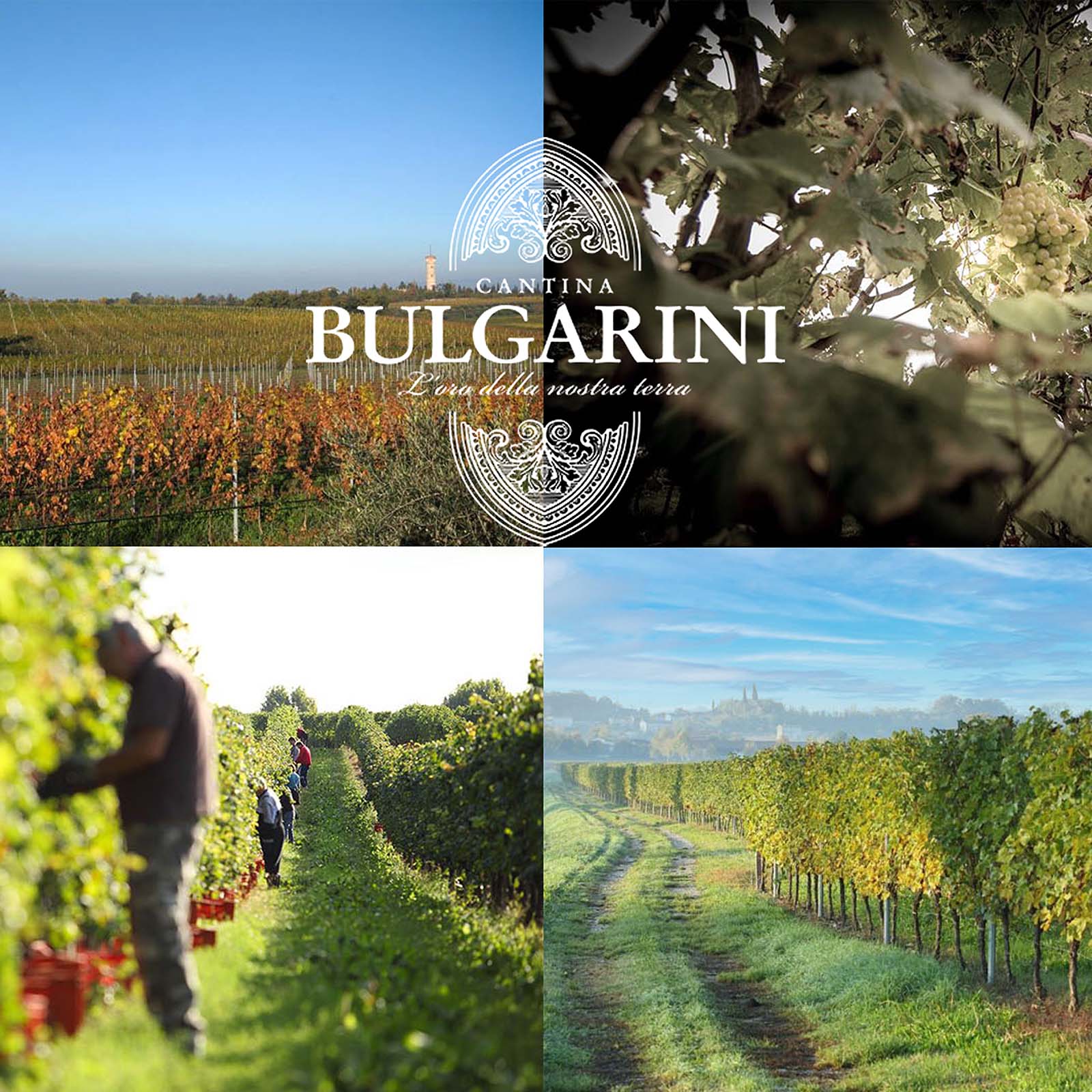 6er-Sparpaket Rosso Bruno 2021