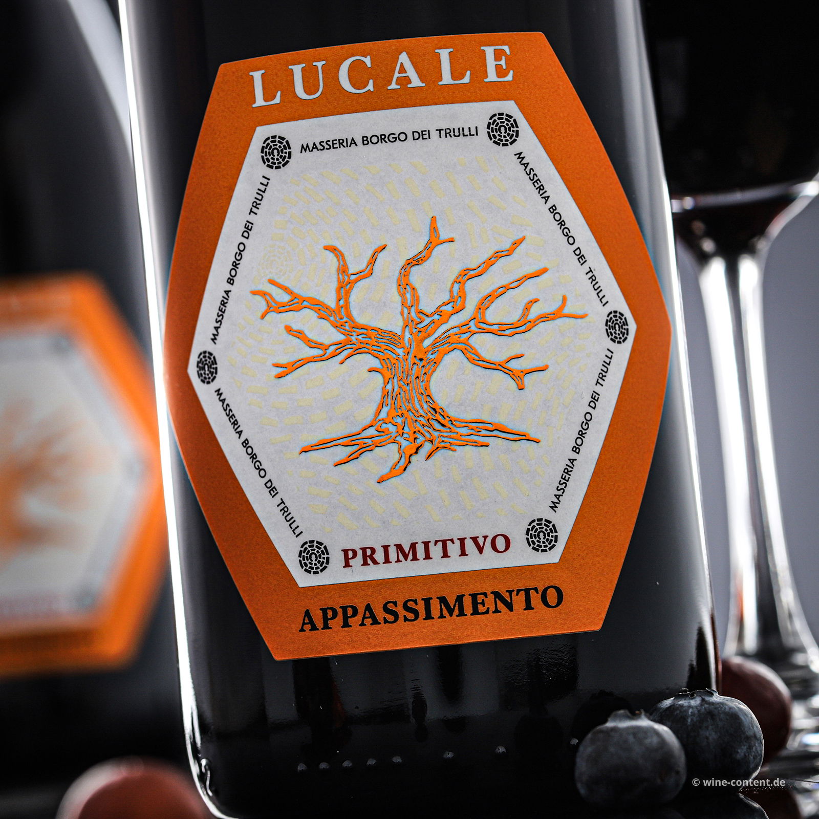 Primitivo Appassimento 2023 Lucale