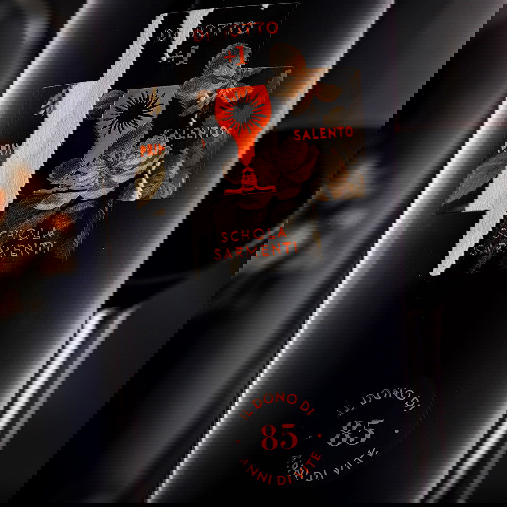 Primitivo Salento 2021 Diciotto + 1 (Lagerschaden)