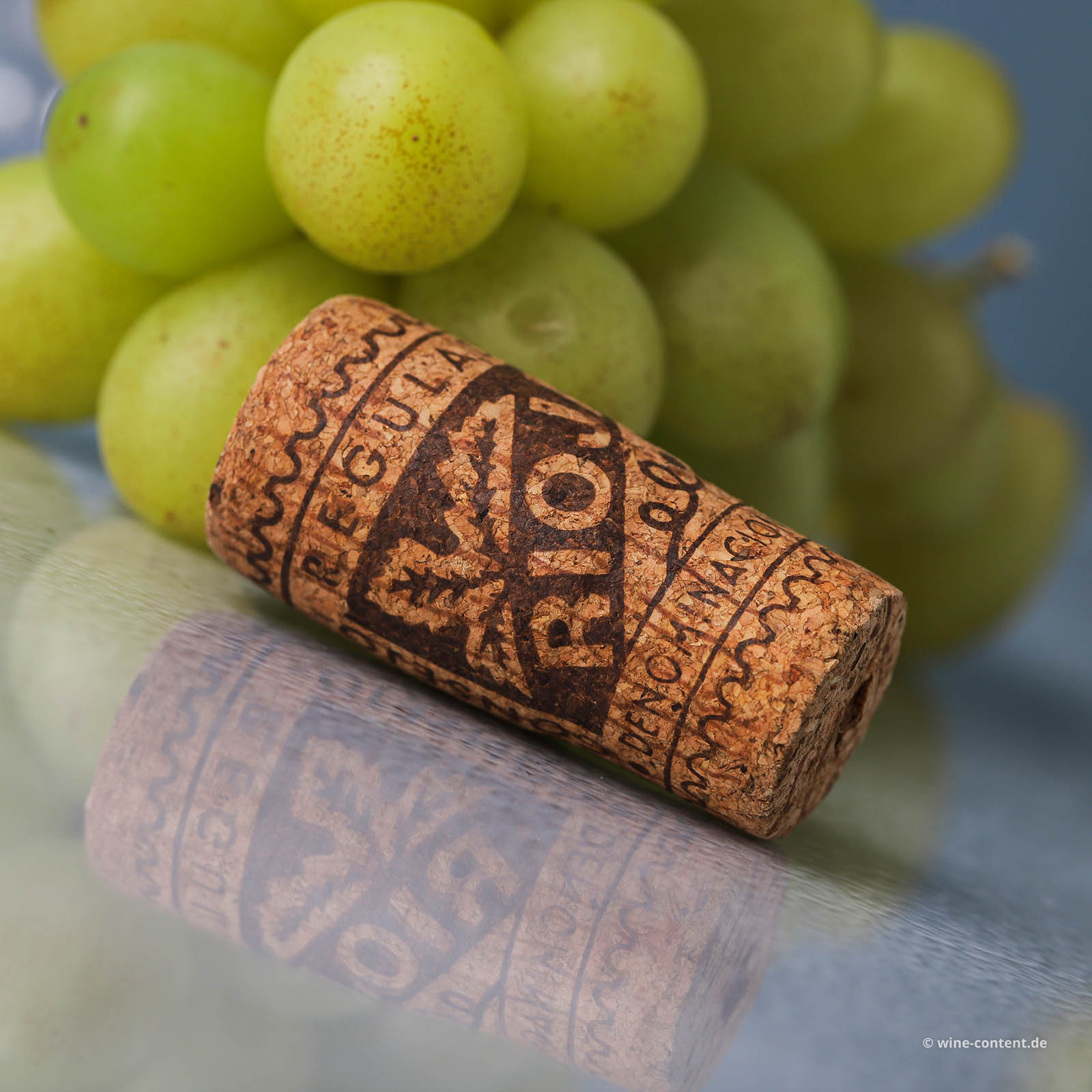 Rioja Blanco 2019 Edicion Limitada Rioja Blanco 2019 Edicion Limitada