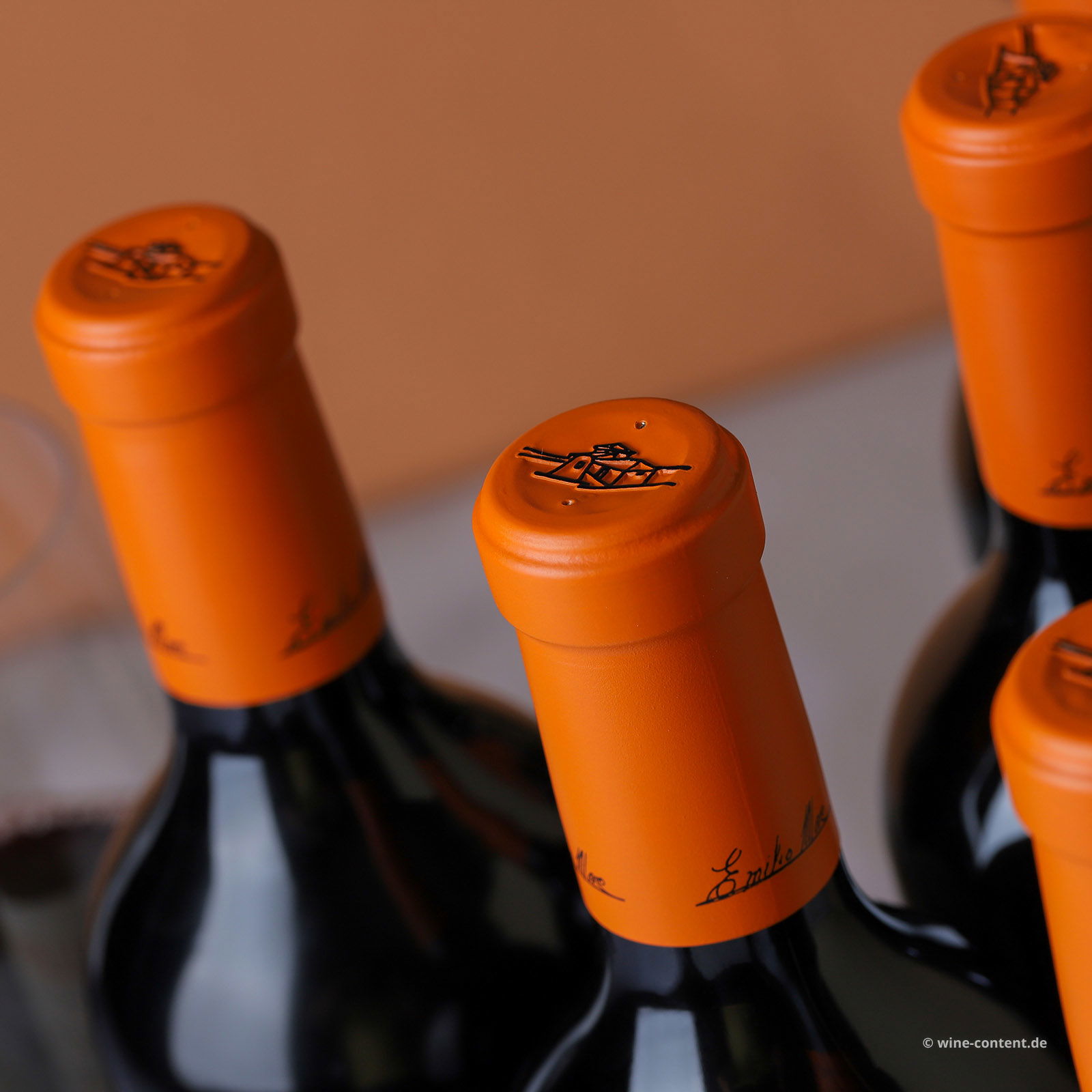 6er-Sparpaket Tempranillo 2021 Malleolus
