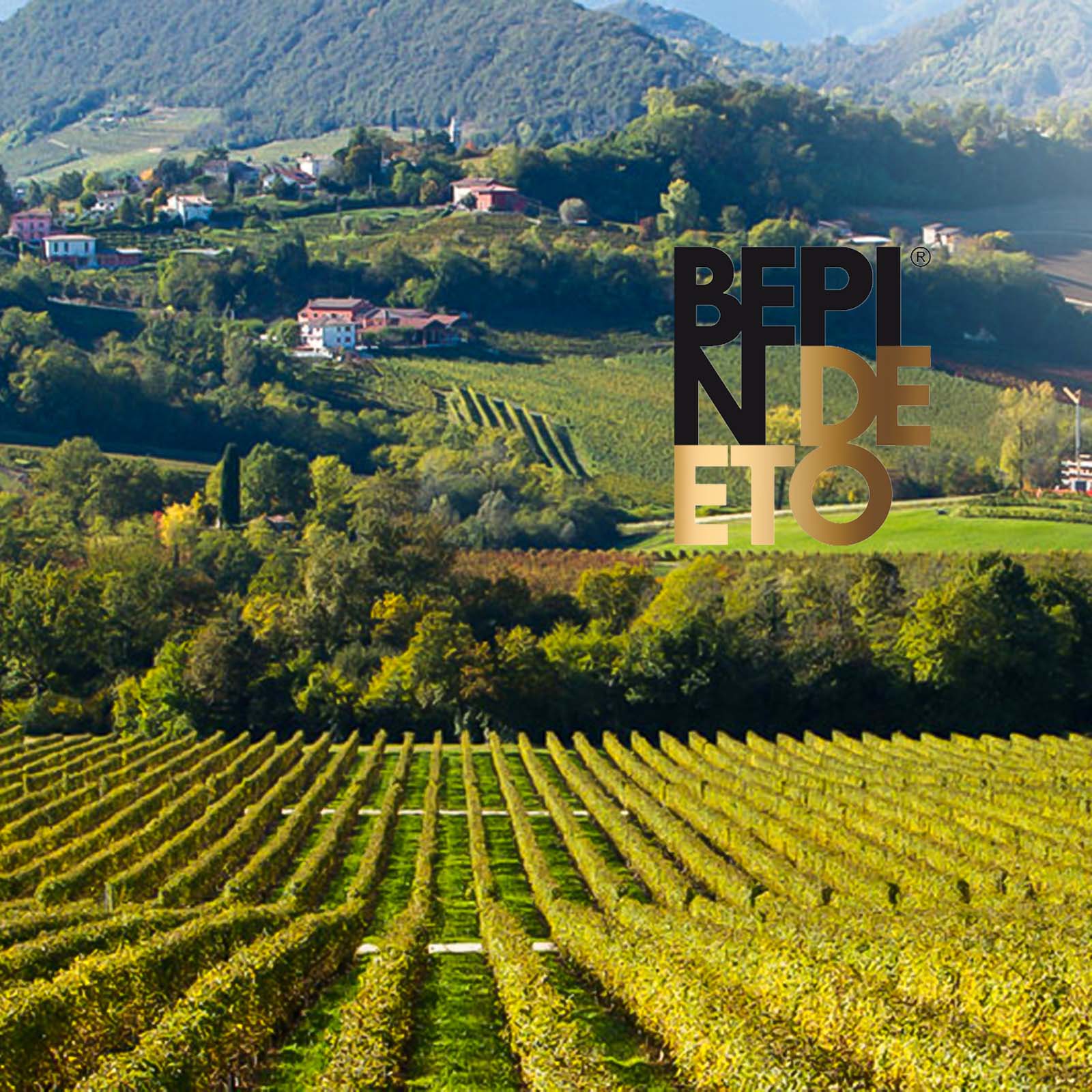 6er-Sparpaket Prosecco Superiore 2024 Extra Dry