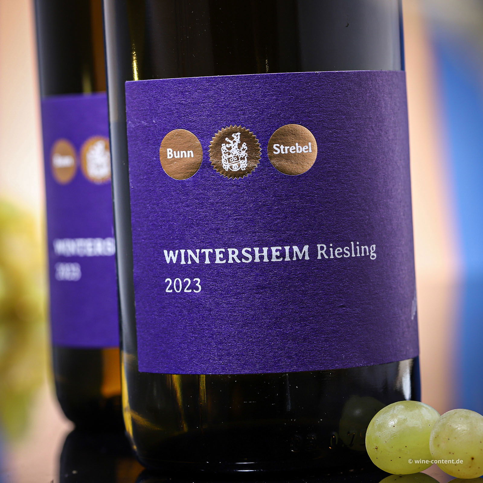 Riesling 2023 Wintersheim