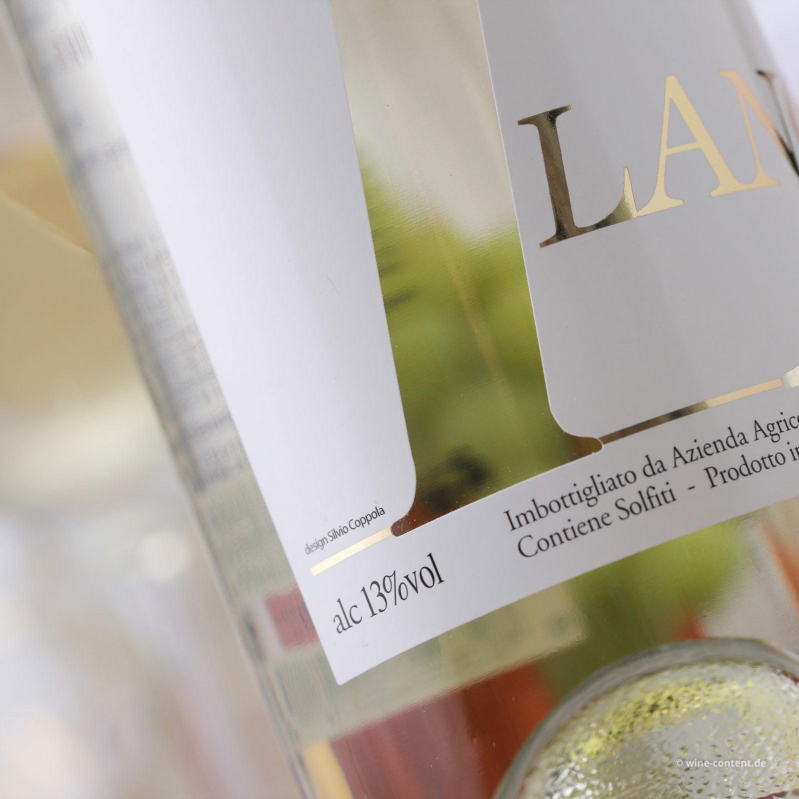 Arneis Langhe 2024 Blangé