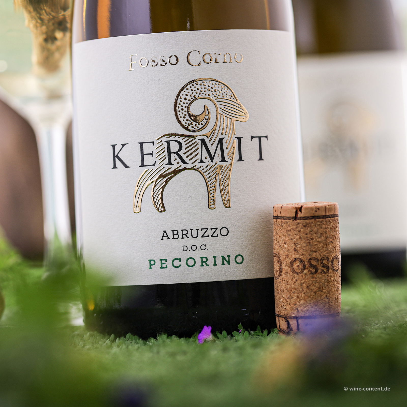 Pecorino Abruzzo 2023 Kermit
