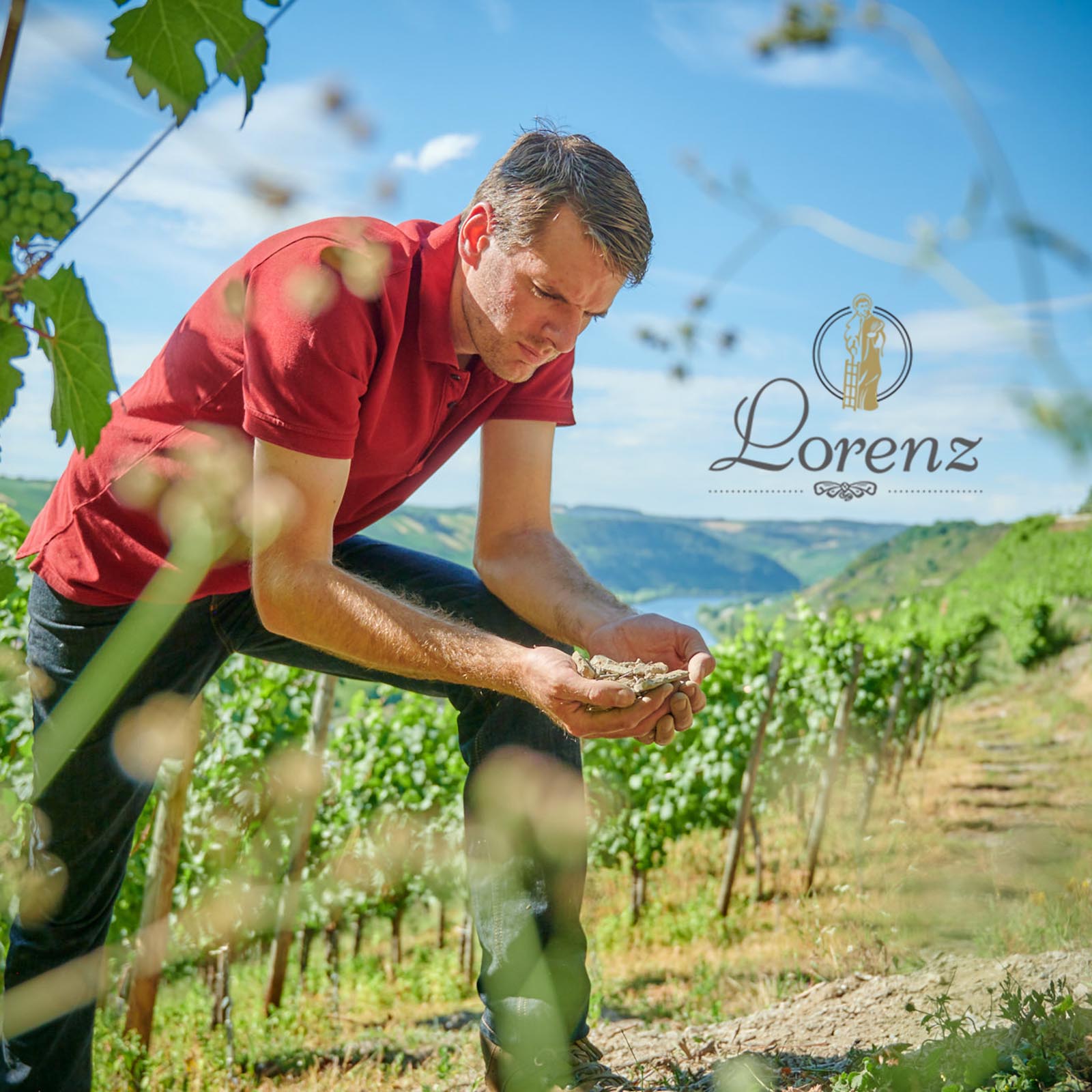 Riesling 2024 Lay Alte Reben