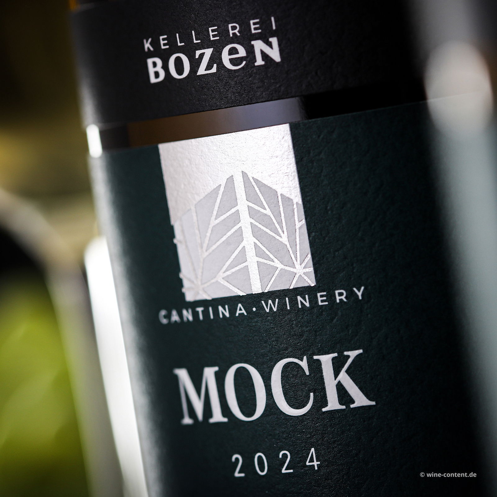 Sauvignon Blanc 2024 Mock