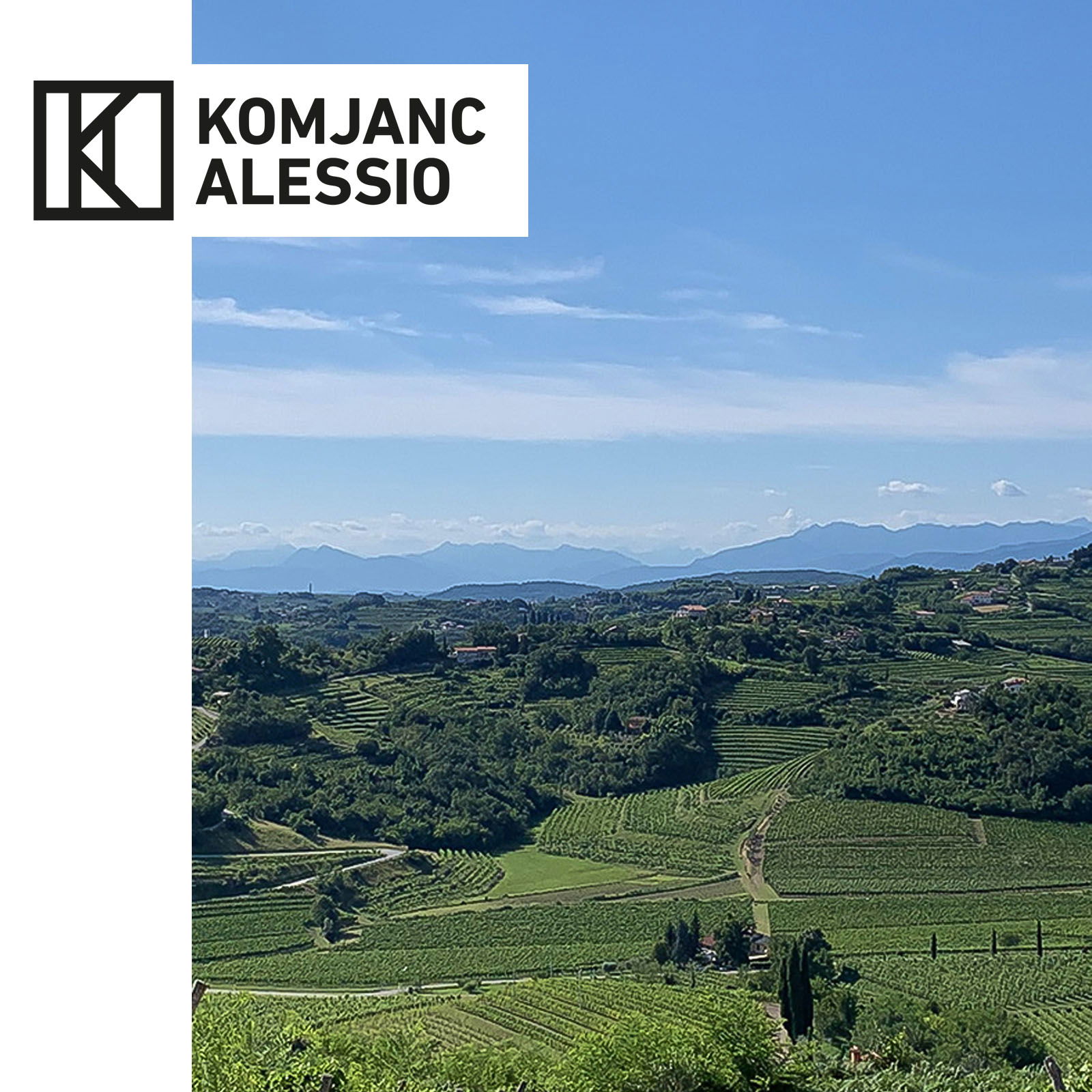 Pinot Grigio 2021 Collio