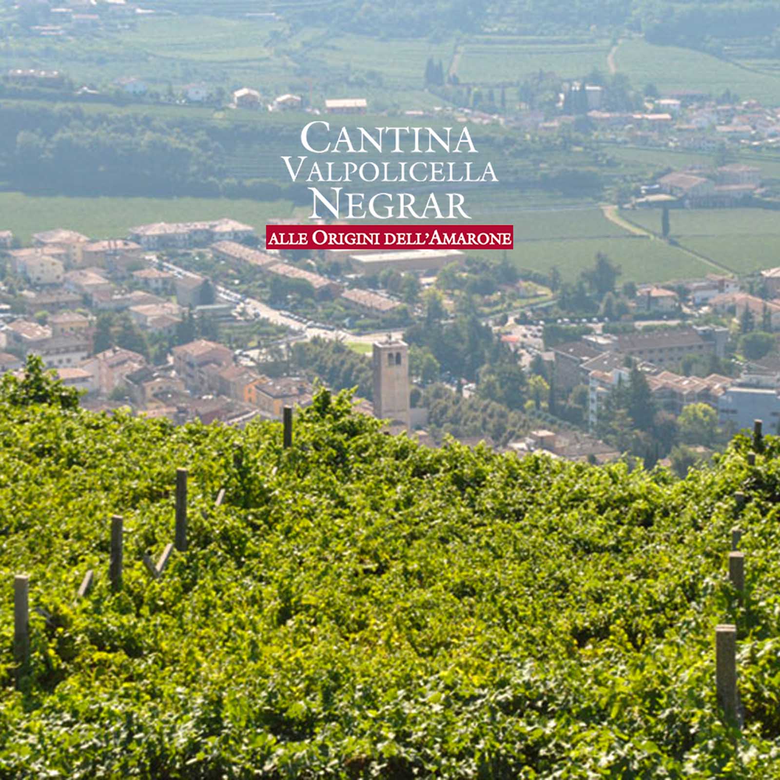 6er-Sparpaket Rosso Veneto 2025 Appassimento