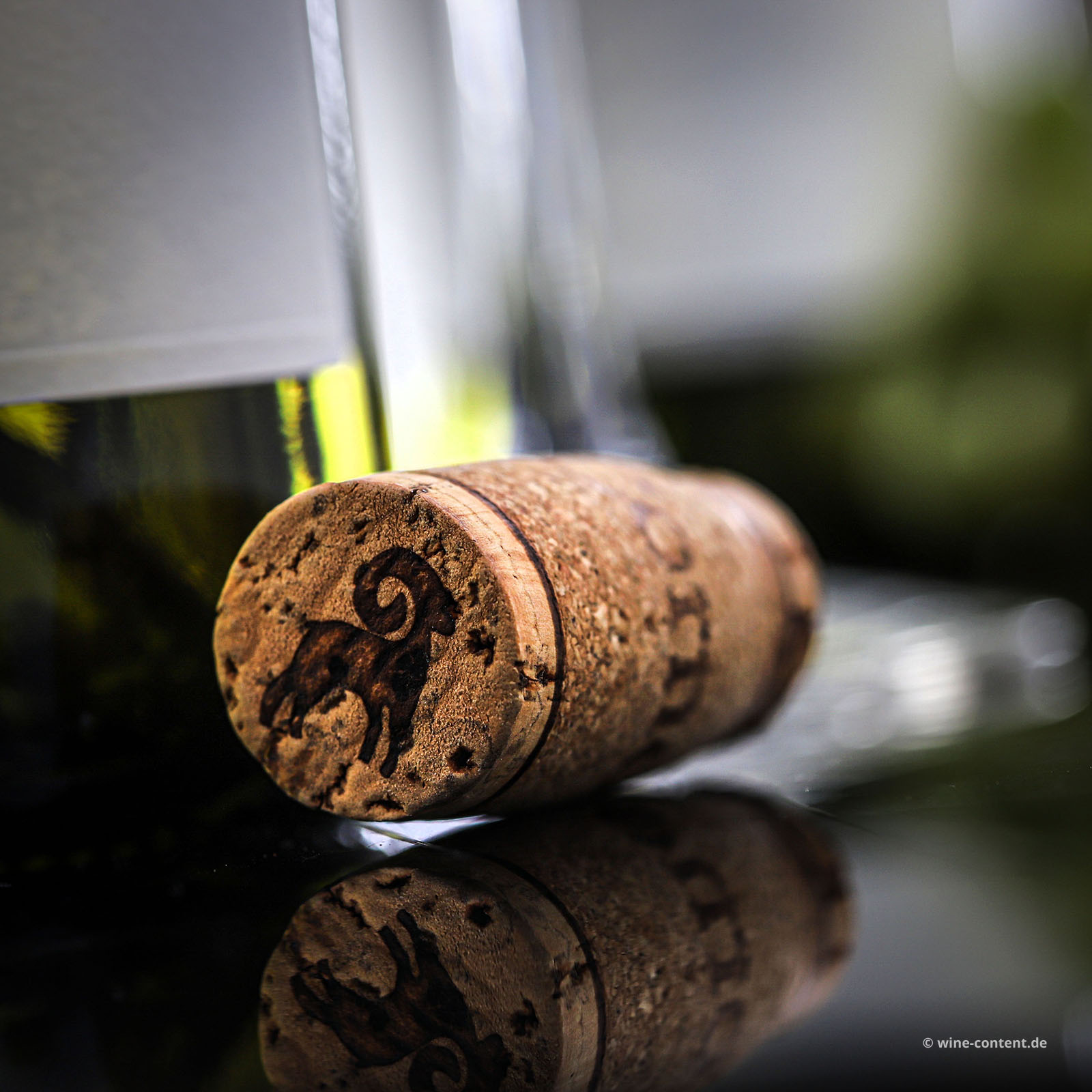 6er-Sparpaket Pecorino Abruzzo 2025 Orsus