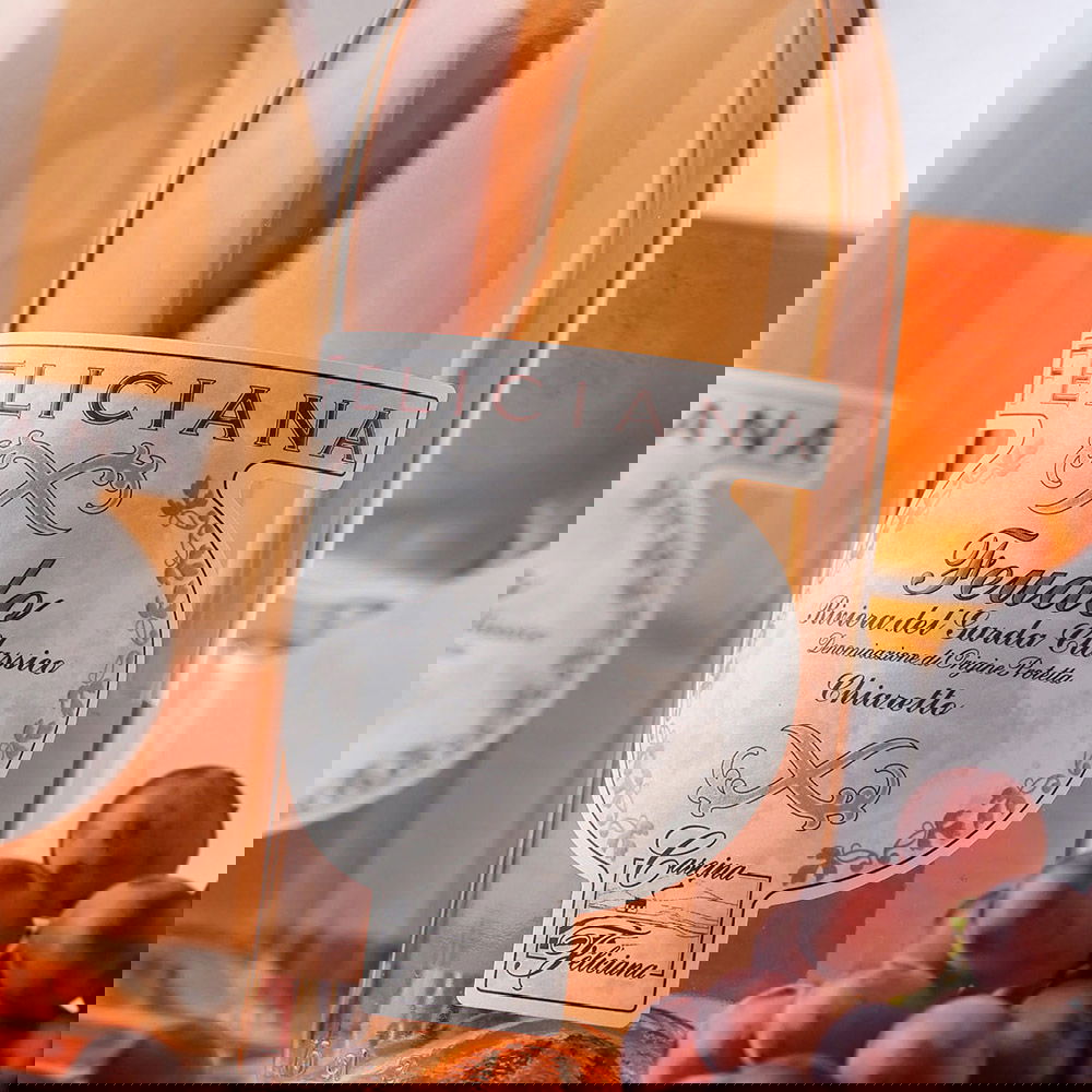 Chiaretto Garda Classico 2025 Feudo