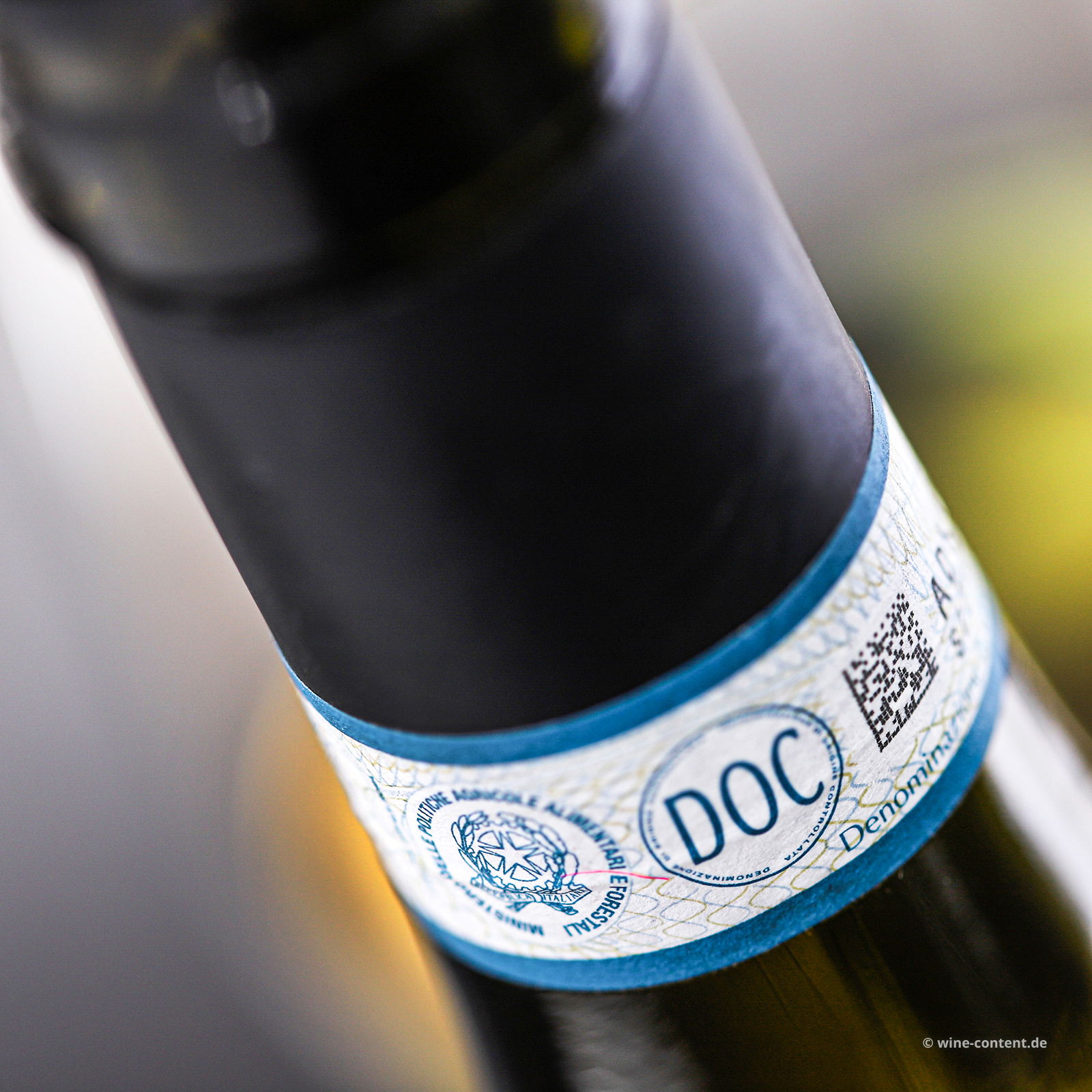 Arneis Langhe 2024 TEN