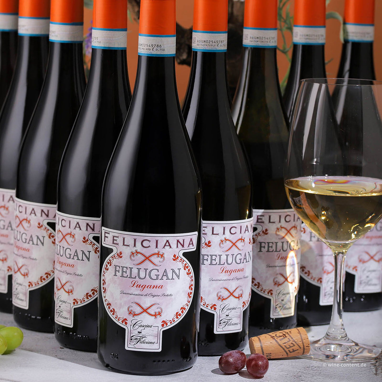 9er-Sparpaket Lugana 2025 Felugan