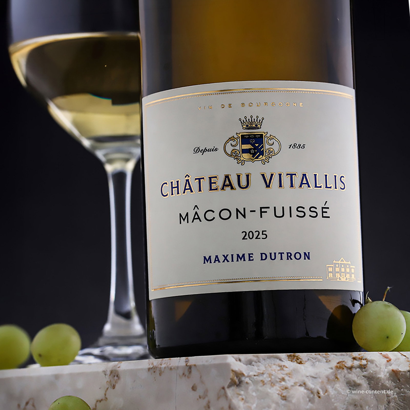 Mâcon-Fuissé 2025