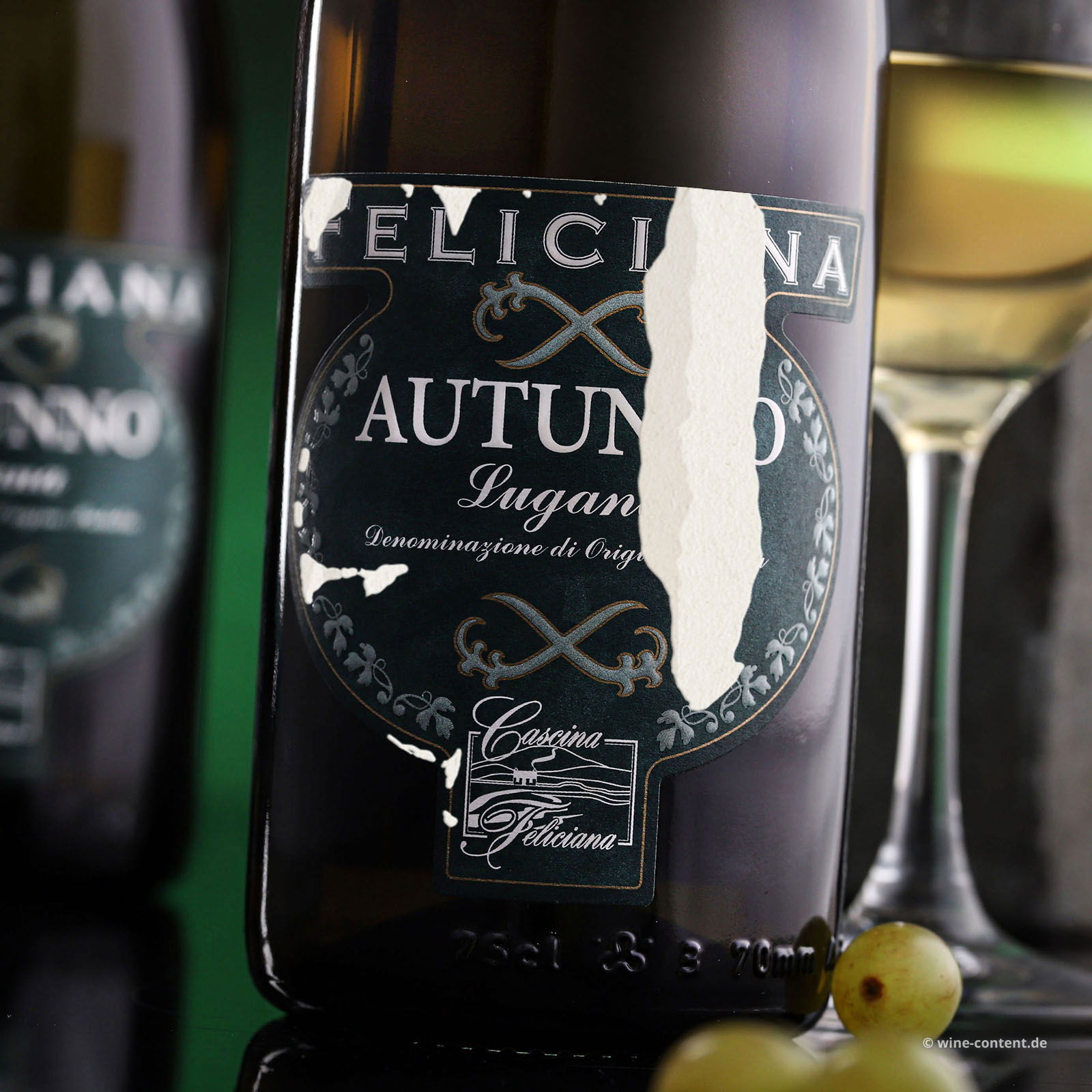 Lugana 2023 Autunno (Lagerschaden)