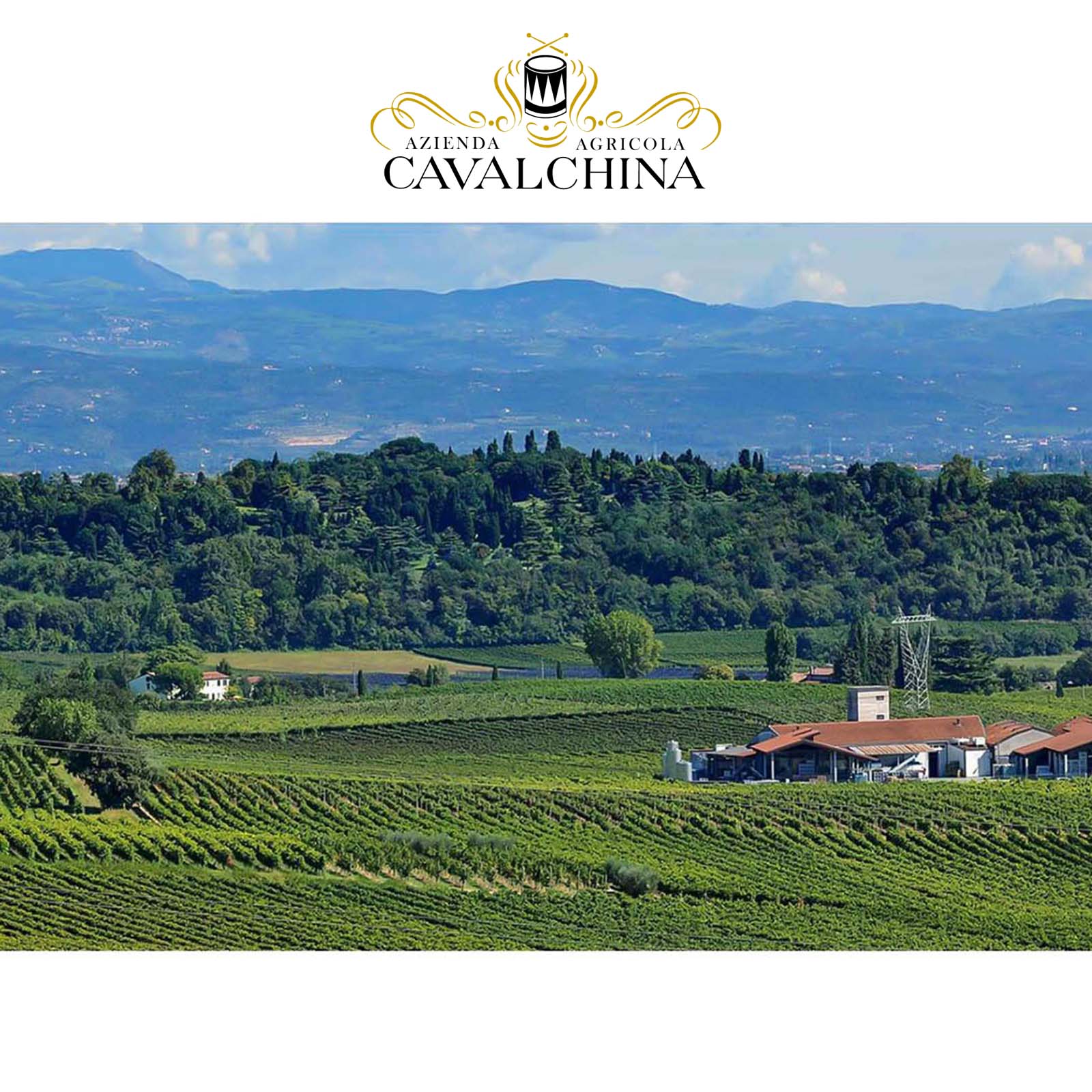 6er-Sparpaket Custoza 2024
