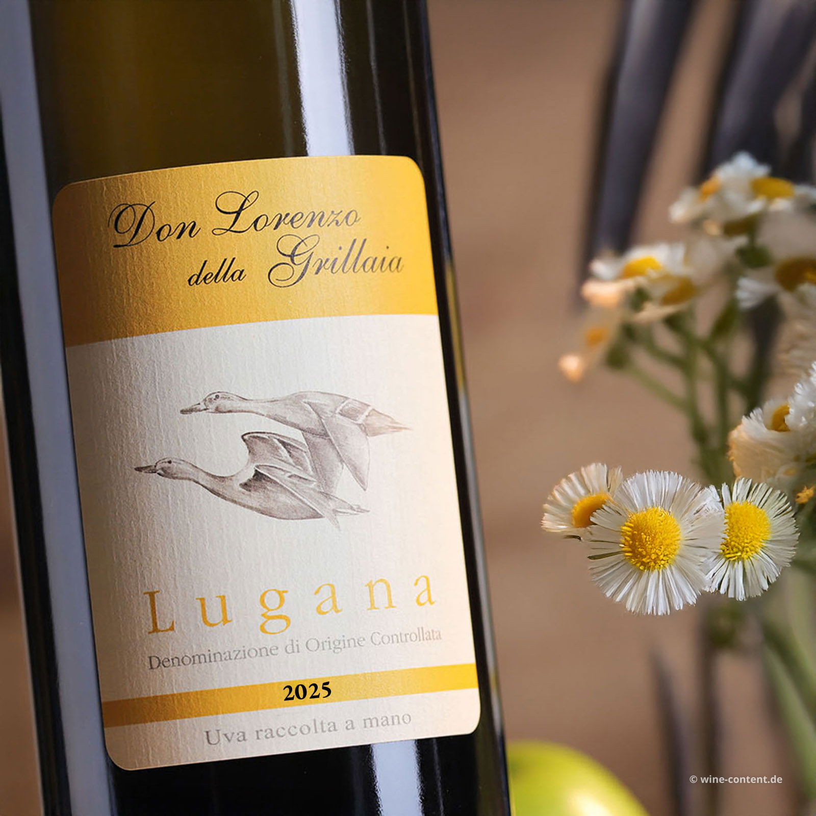 Lugana 2025 Don Lorenzo