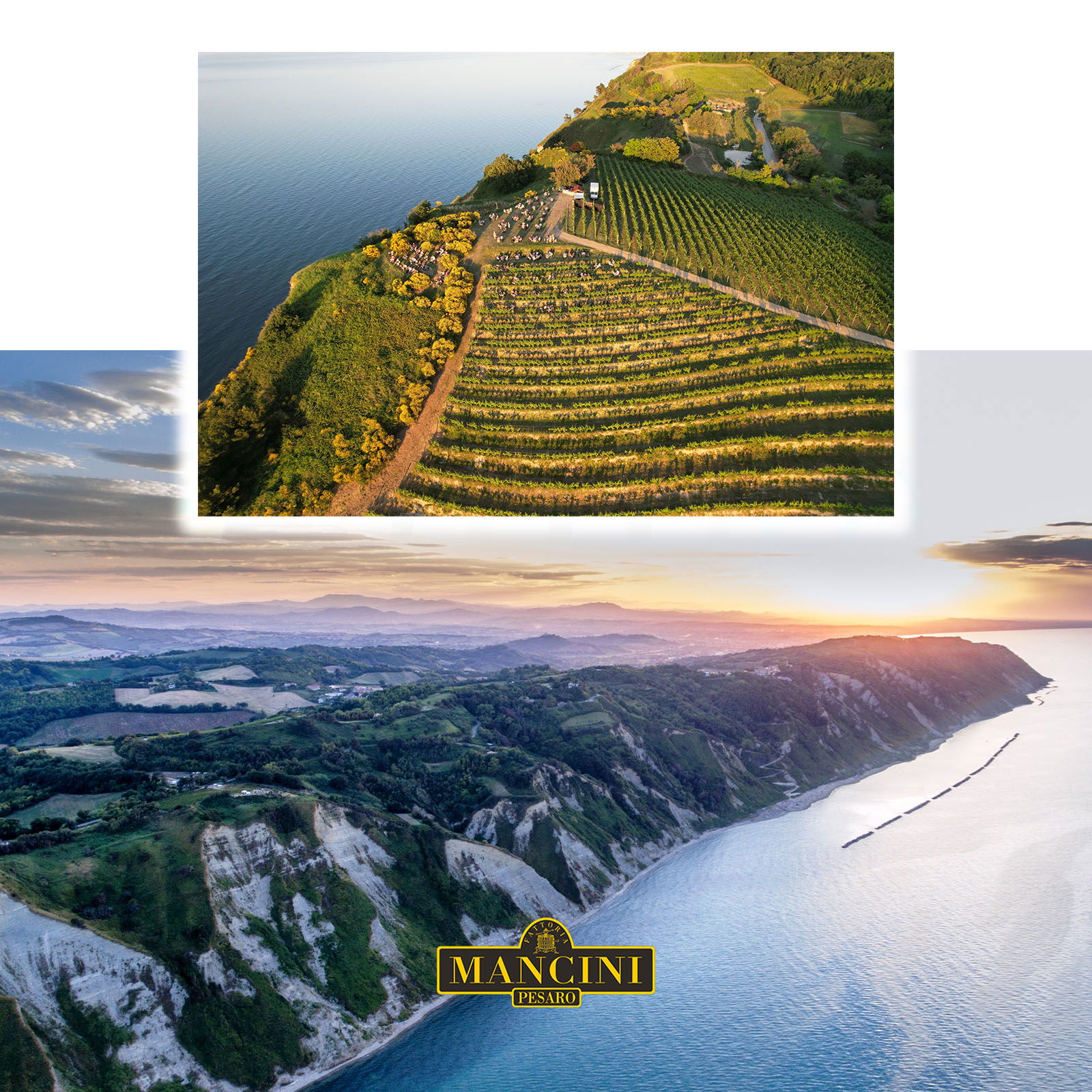 Pinot Noir 2022 Rive