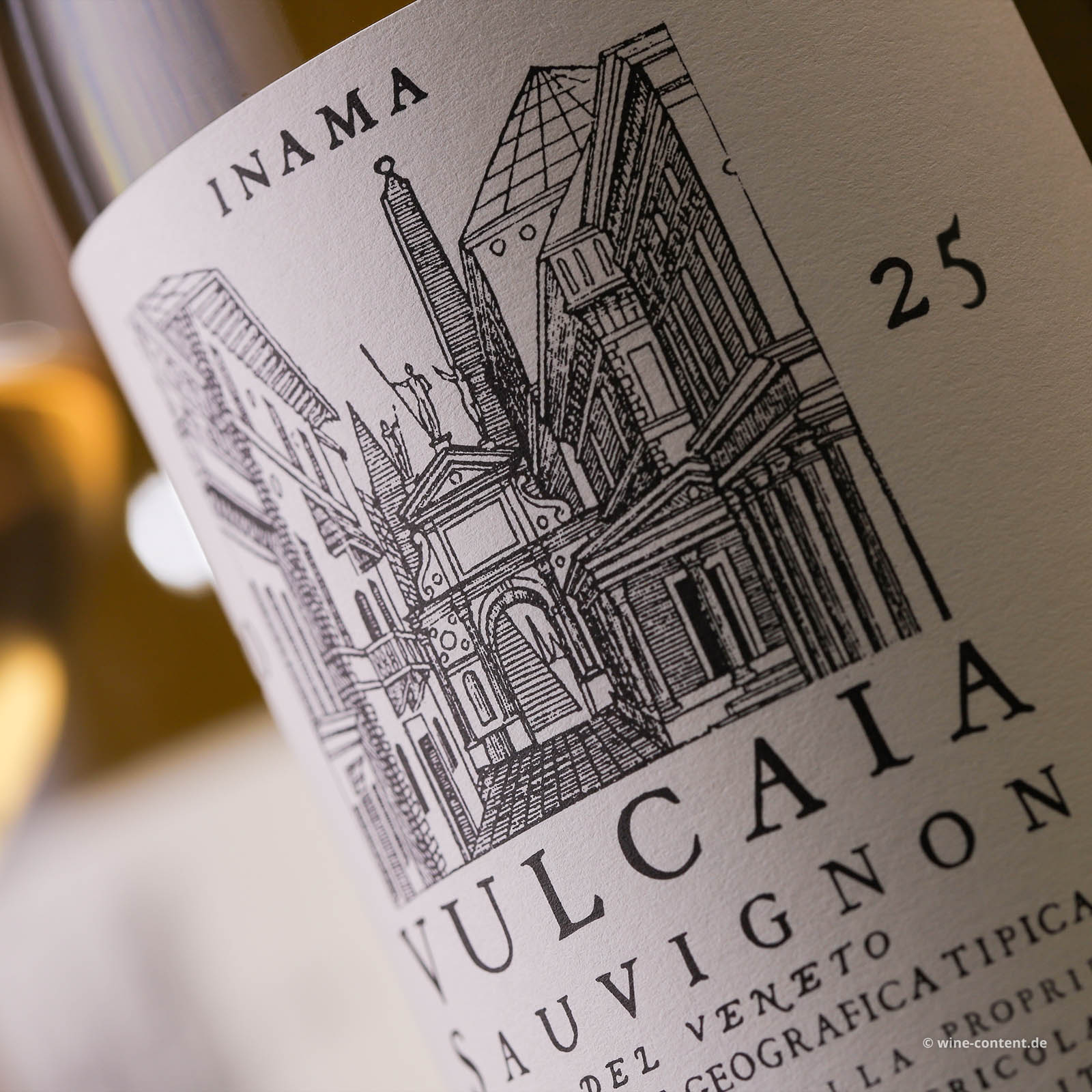 Sauvignon del Veneto 2025 Vulcaia