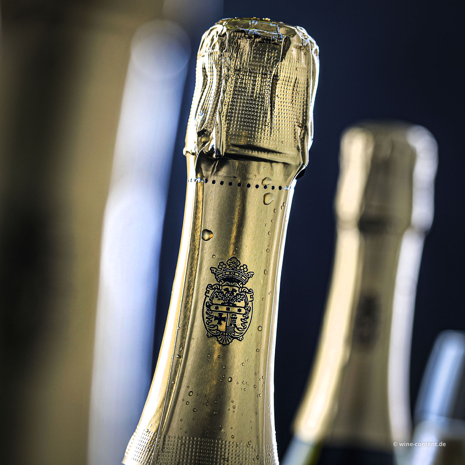 6er-Sparpaket Prosecco il Fresco Brut