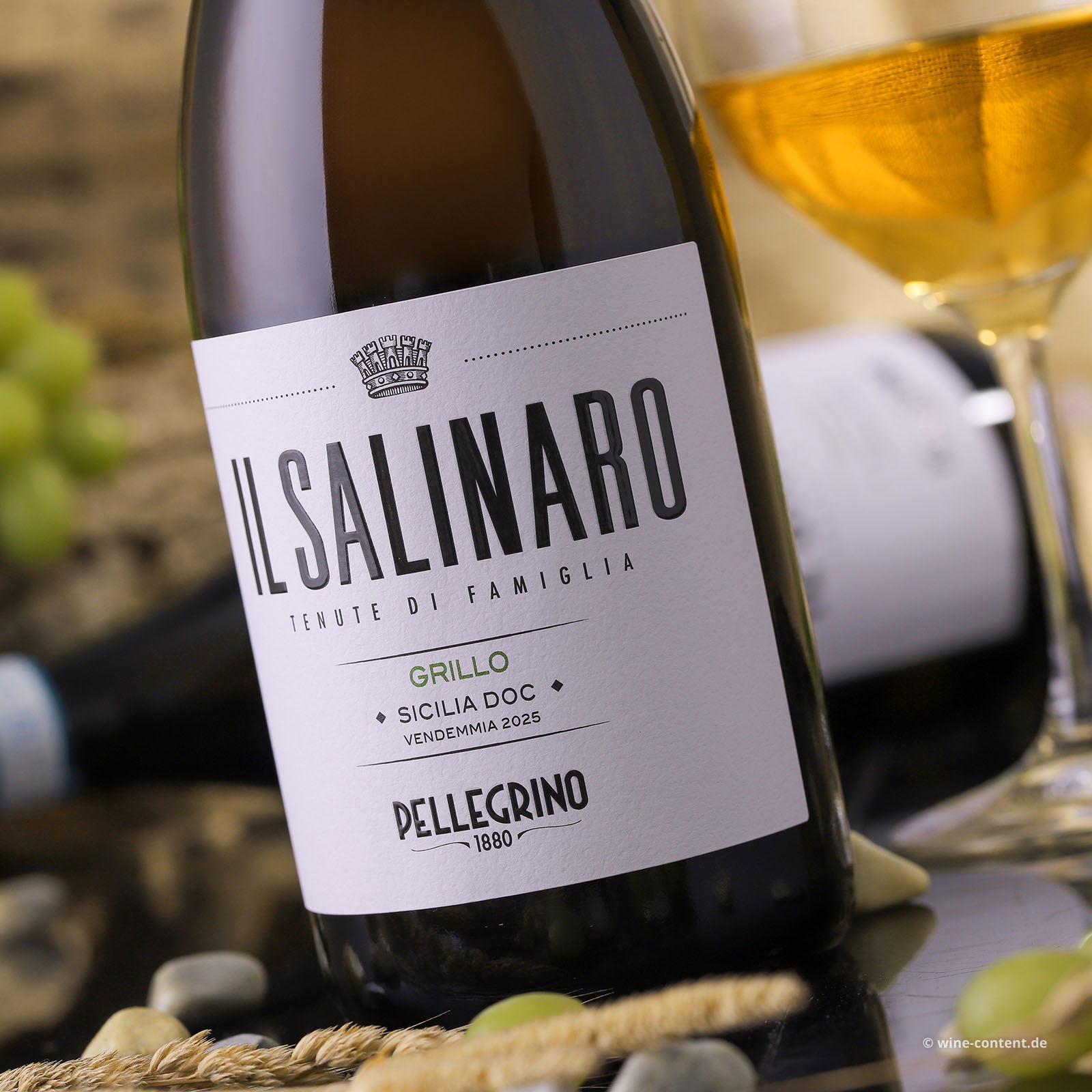 Grillo Sicilia 2025 Il Salinaro