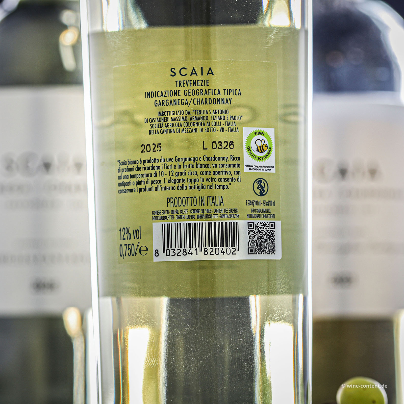 9er-Sparpaket Scaia Bianco 2025