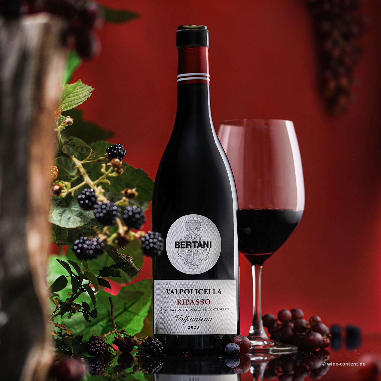 Valpolicella Ripasso Valpantena 2023