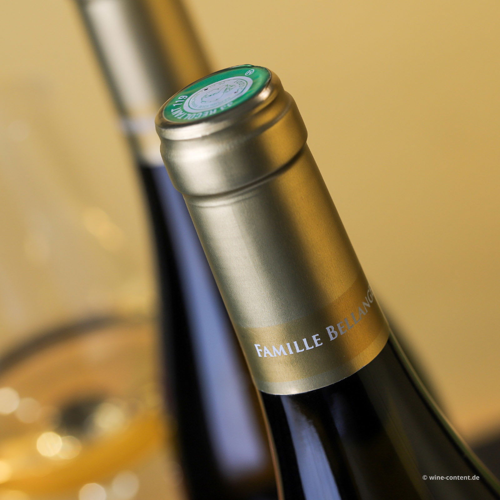 Sauvignon Blanc 2024 Les Roches Blanches Bio