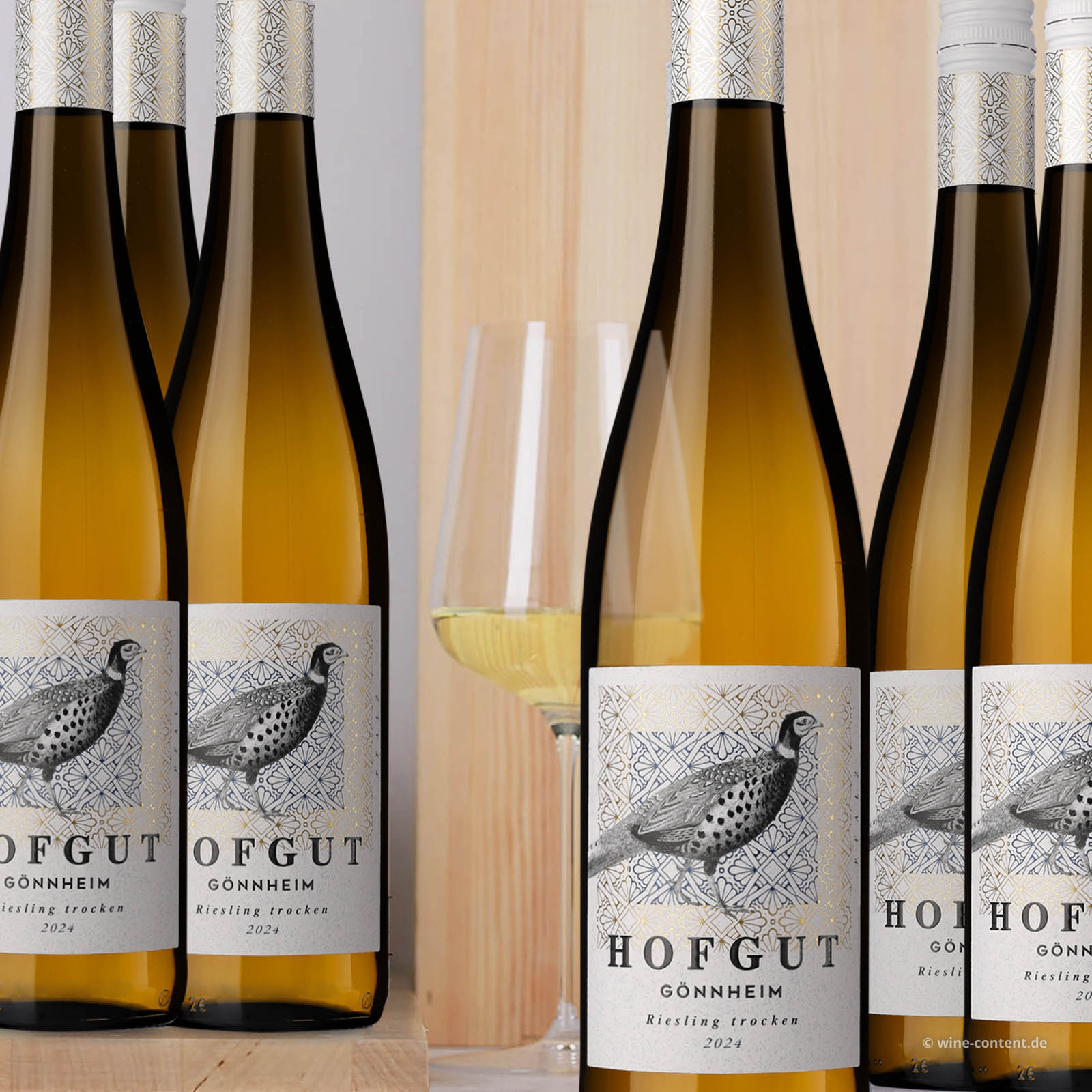 6er-Sparpaket Riesling 2024 Gönnheim Bio