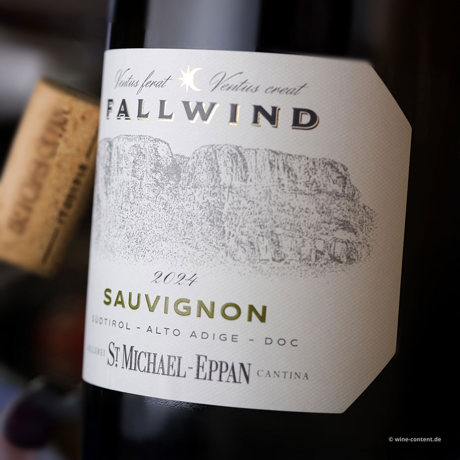 Sauvignon Blanc 2024 Fallwind Sauvignon Blanc 2024 Fallwind