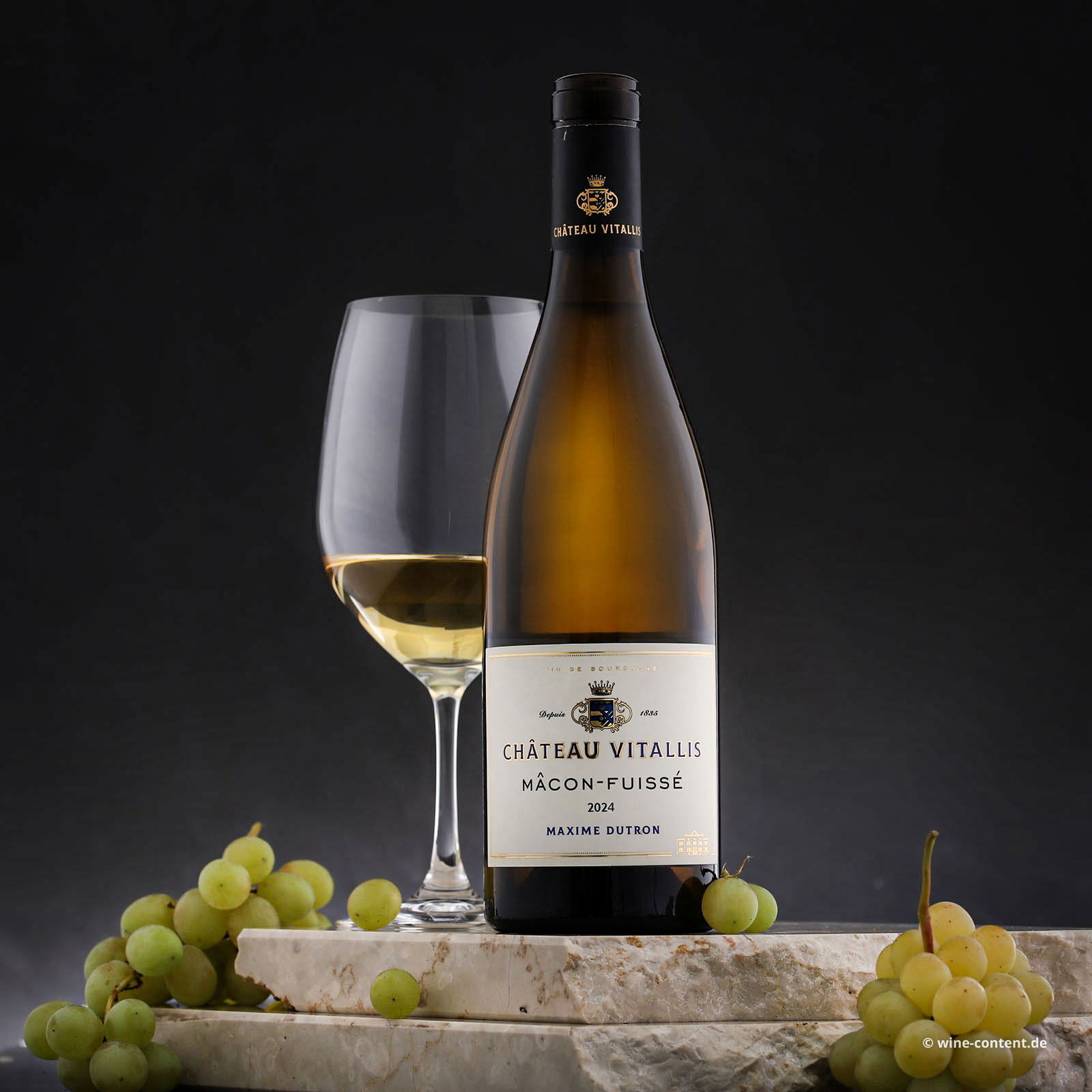 Mâcon-Fuissé 2024