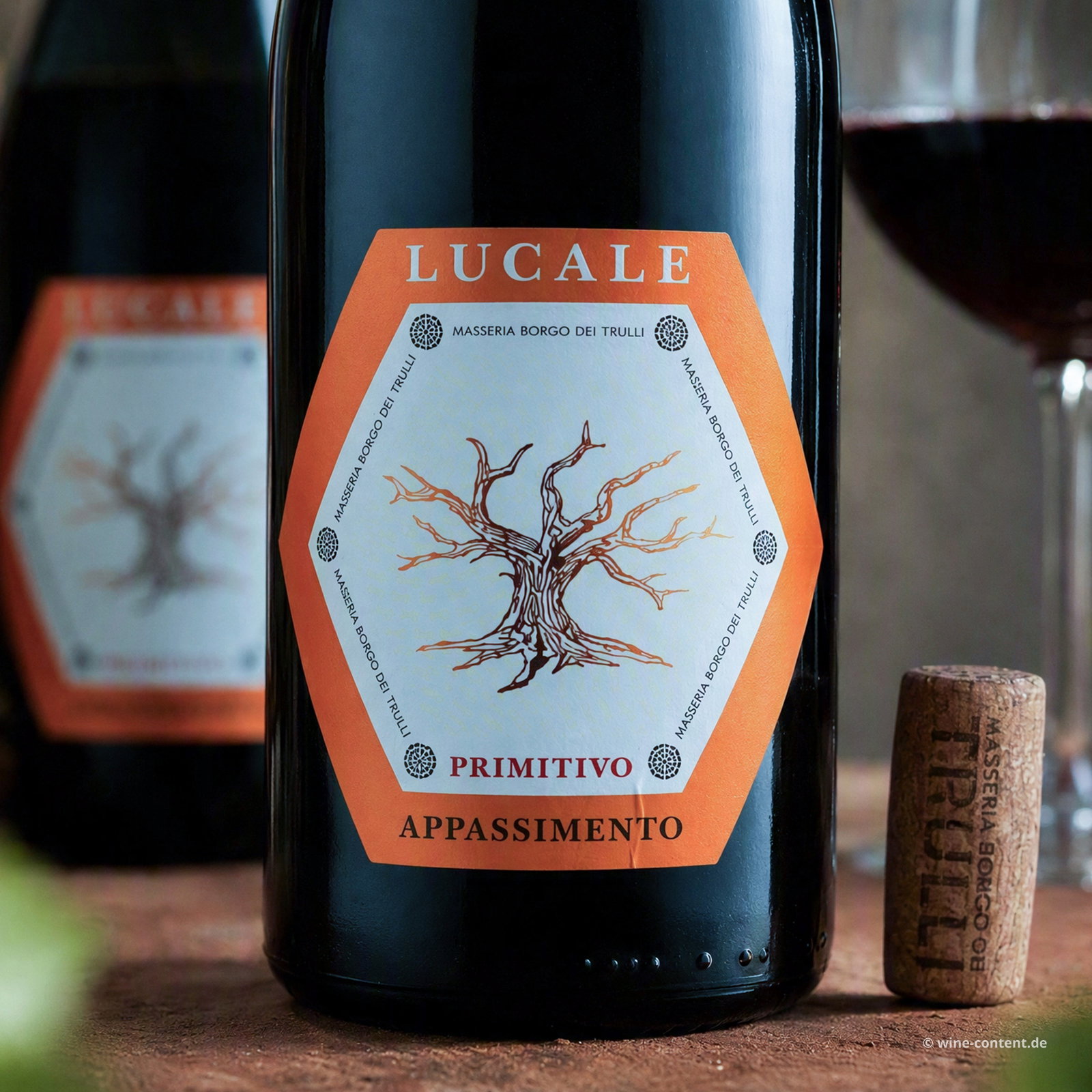 Primitivo Appassimento 2025 Lucale