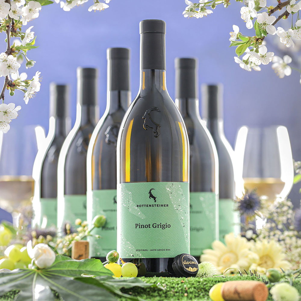 6er-Sparpaket Pinot Grigio 2025