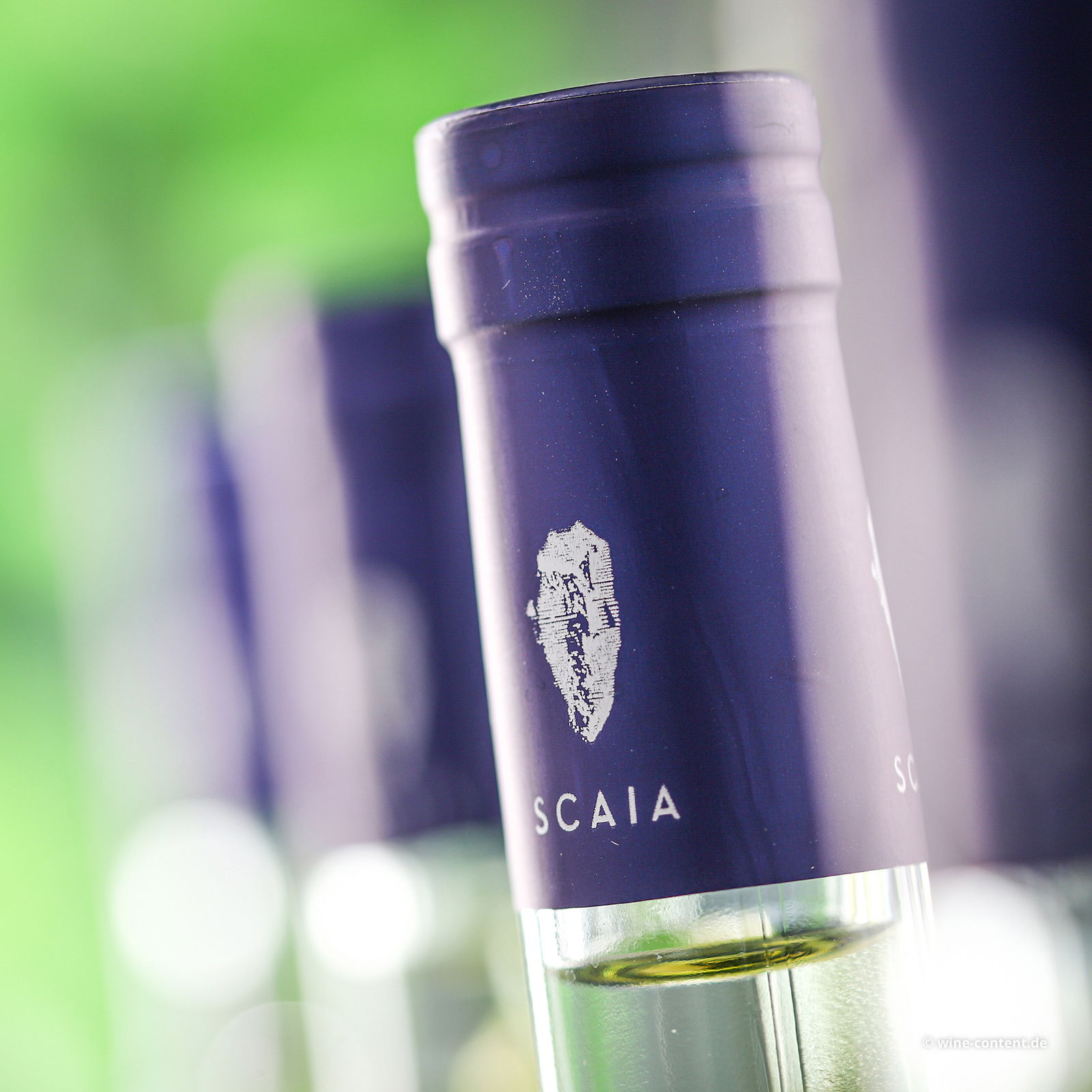 6er-Sparpaket Scaia Bianco 2025