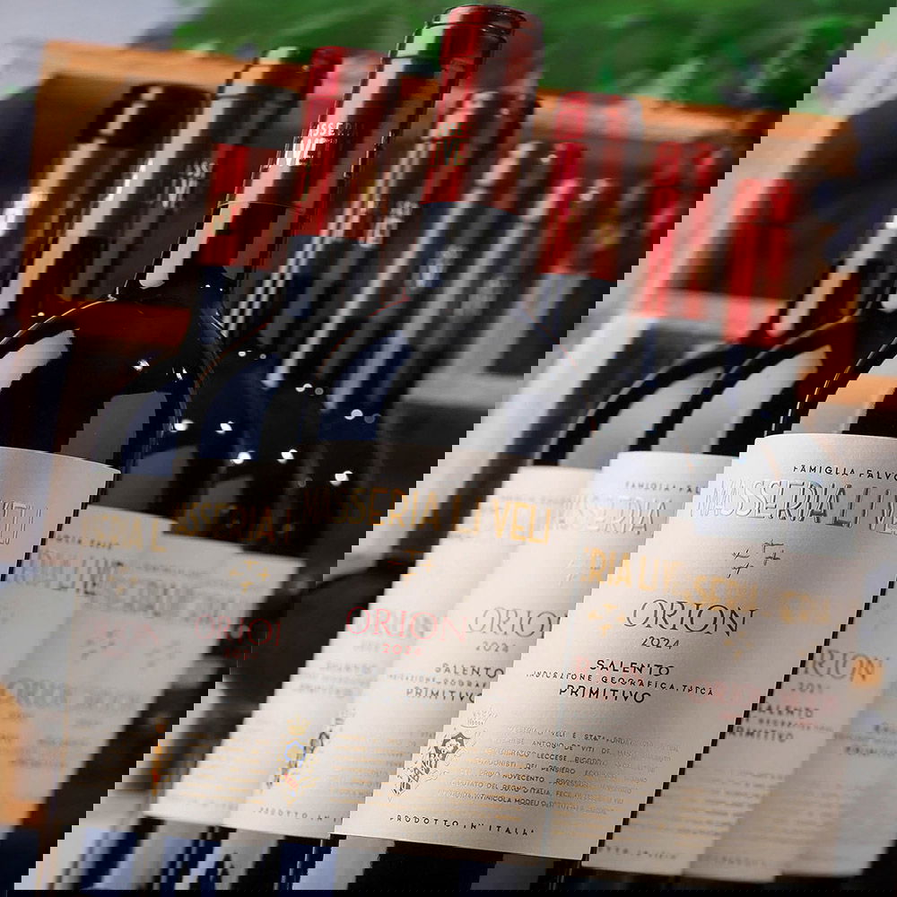 6er-Sparpaket Primitivo Salento 2024 Orion