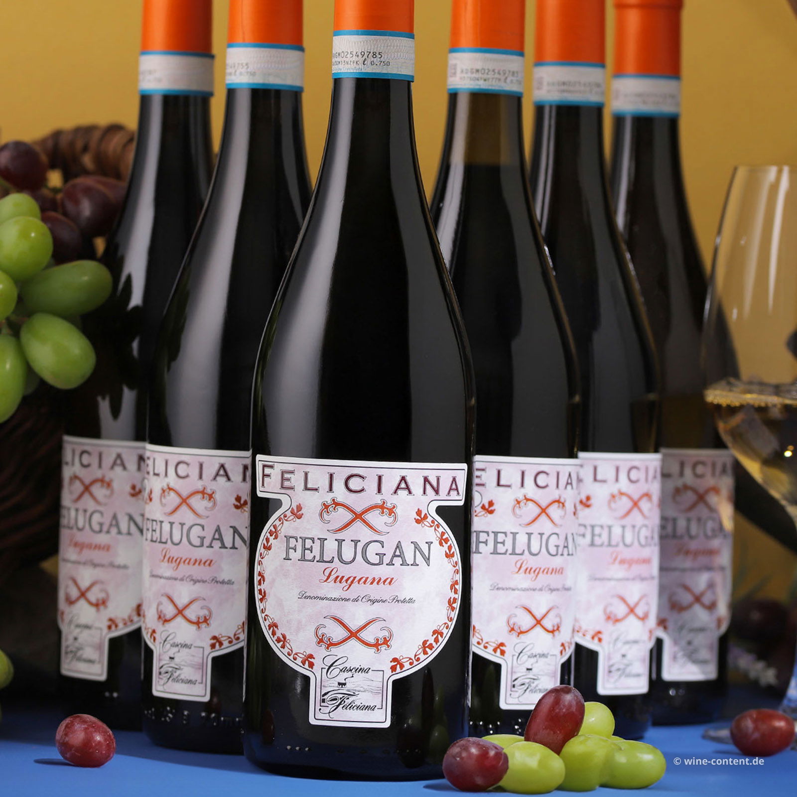 6er-Sparpaket Lugana 2025 Felugan