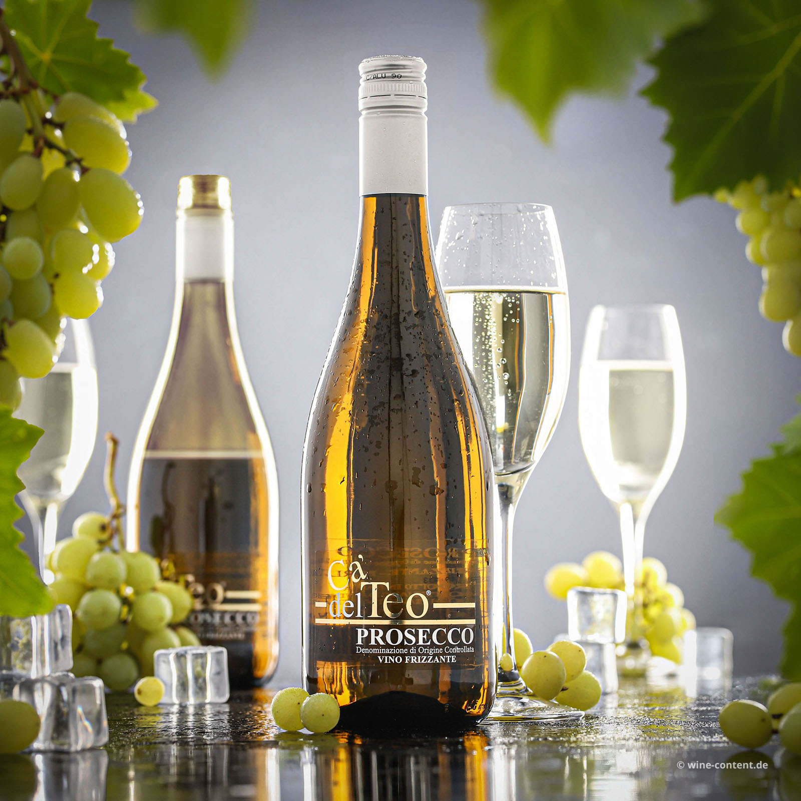 Prosecco Frizzante