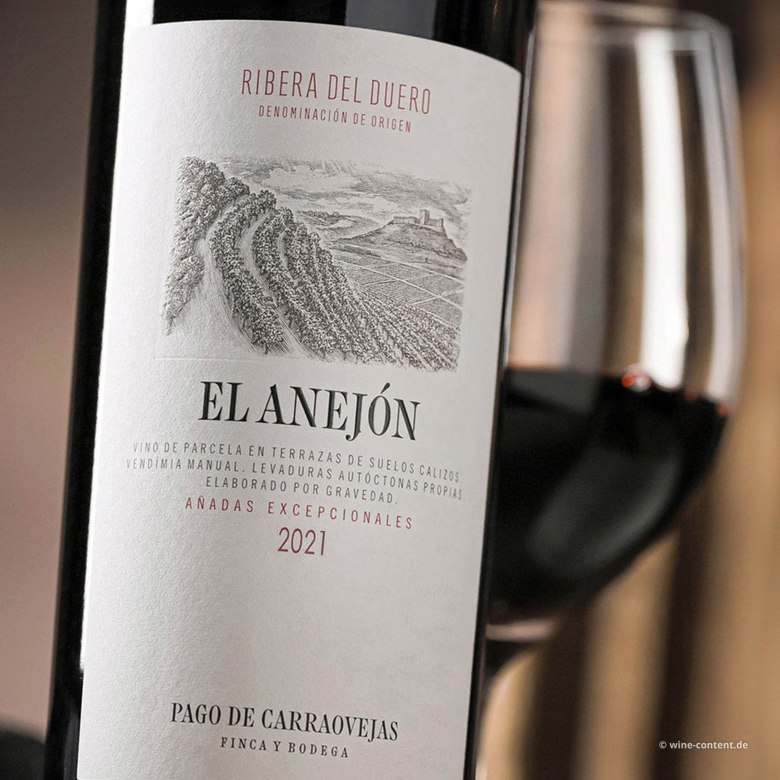 El Anejón 2021 Magnum