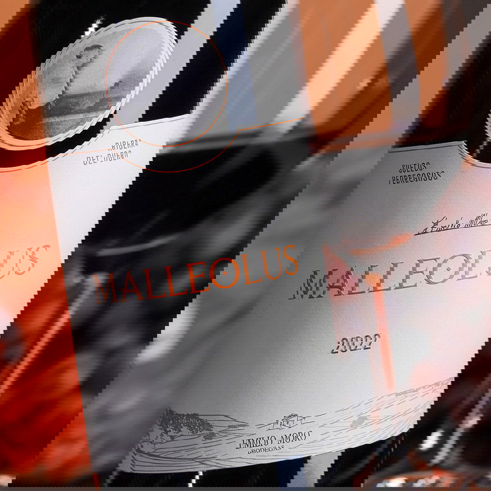Tempranillo 2022 Malleolus Tempranillo 2022 Malleolus