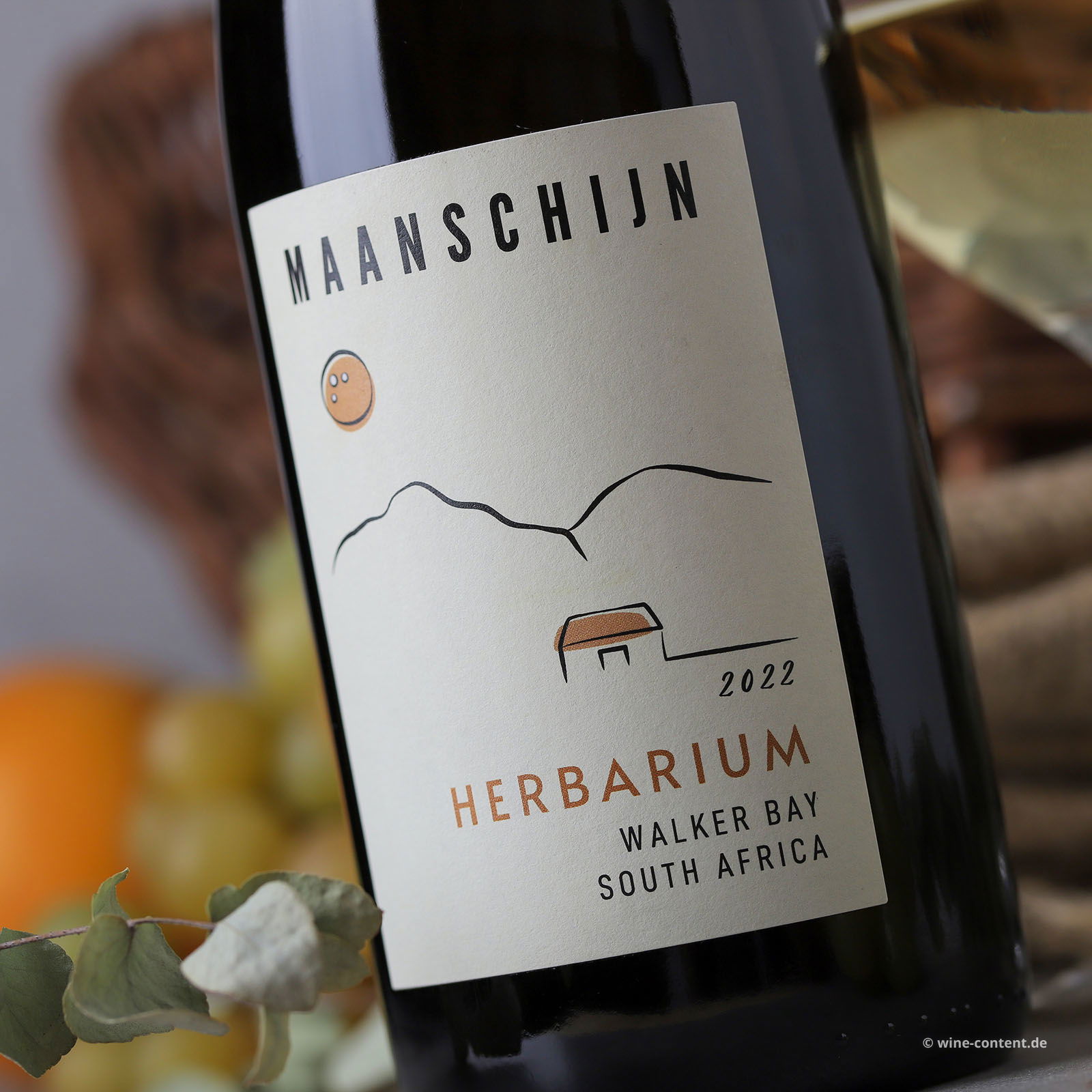 Cape White 2022 Herbarium