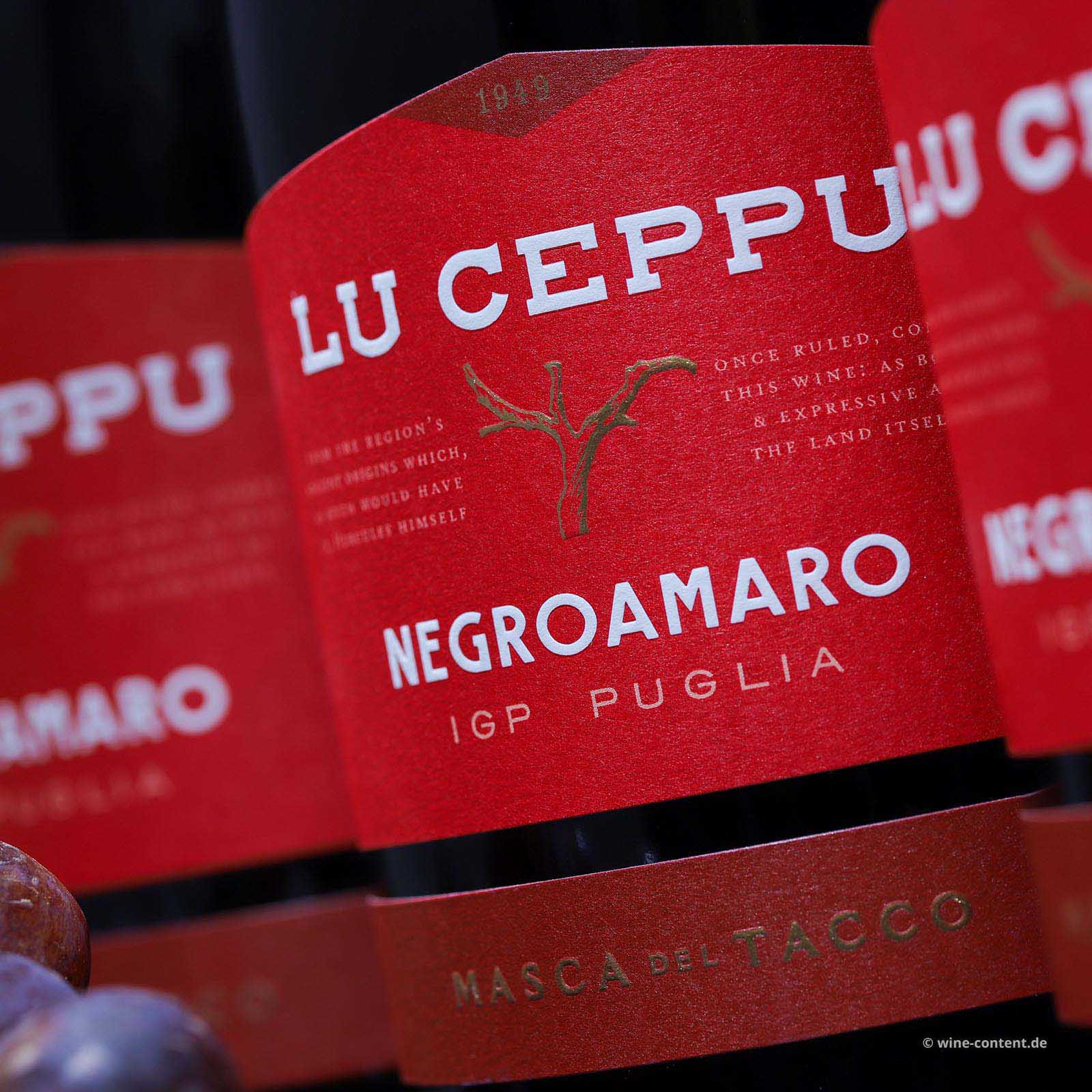 6er-Sparpaket Negroamaro 2025 Lu Ceppu