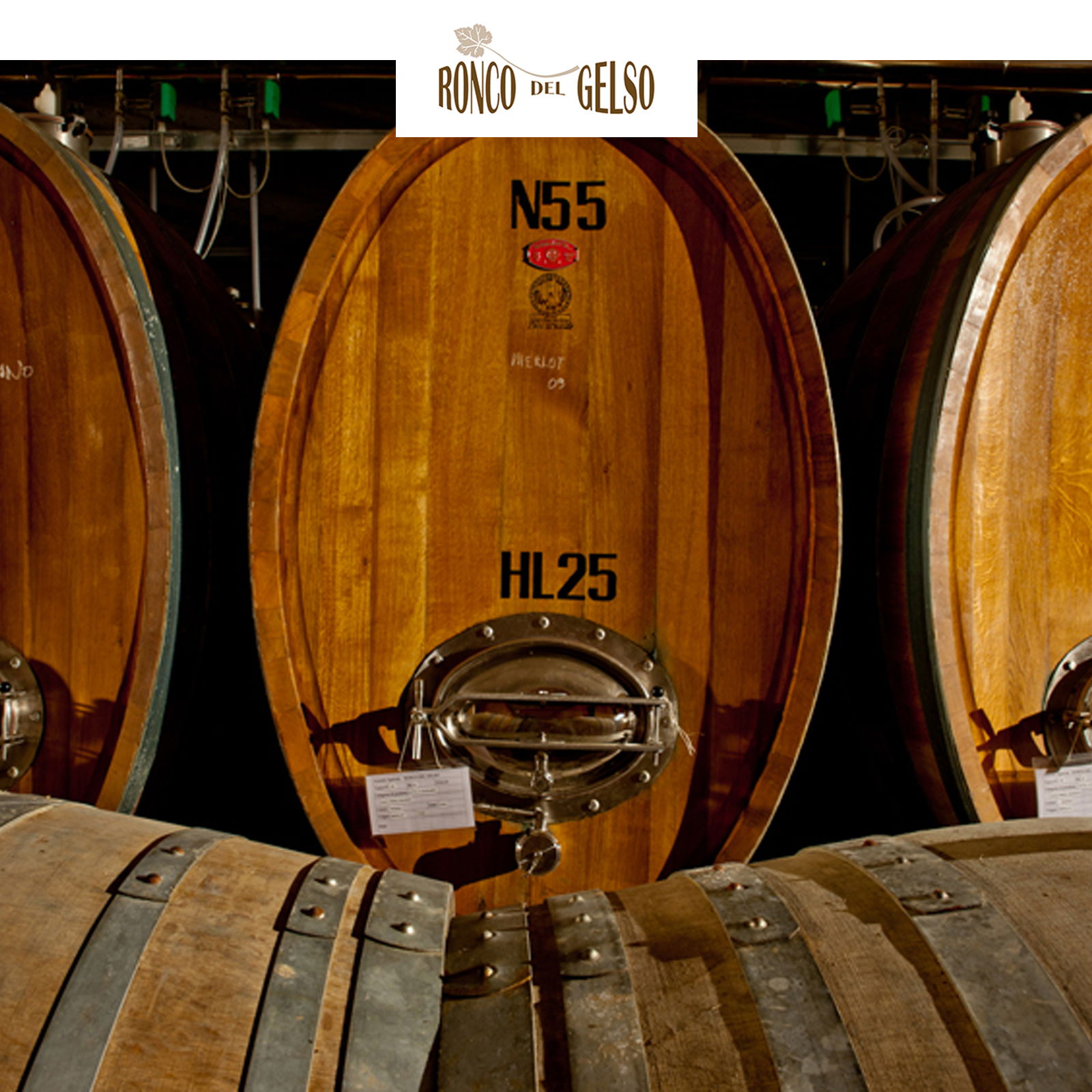 Sauvignon 2023 Sottomonte