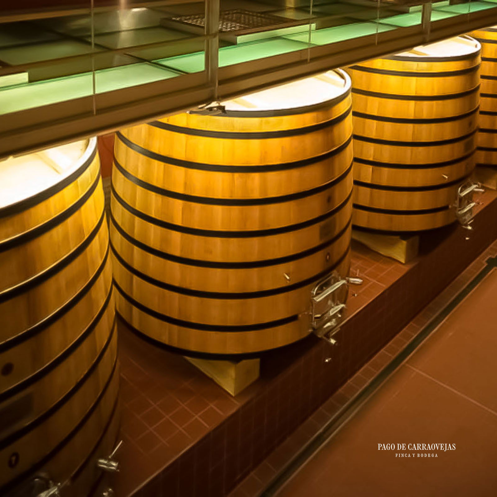 Pago de Carraovejas 2023