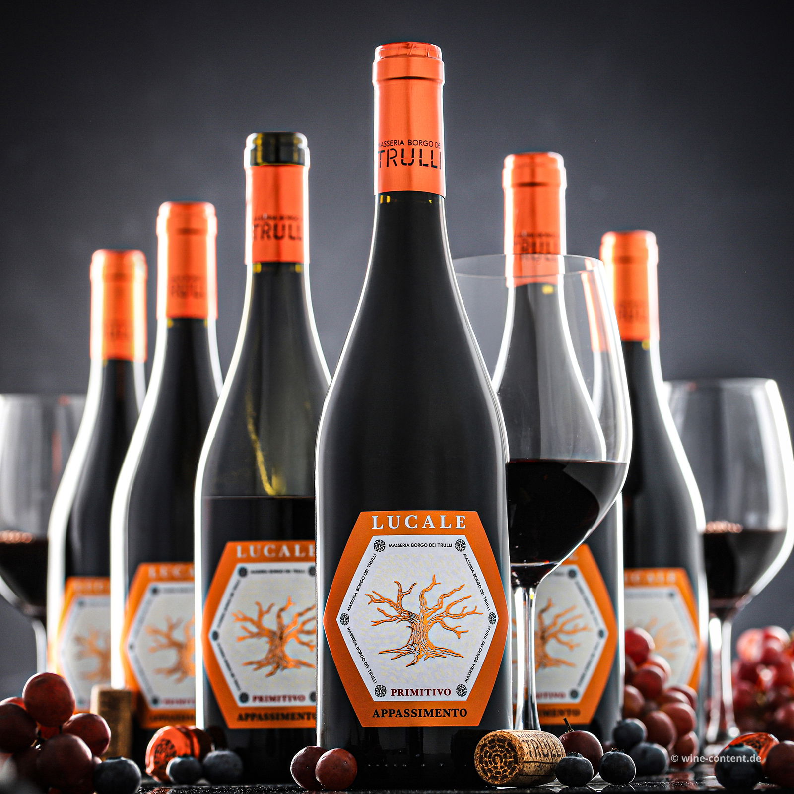 6er-Sparpaket Primitivo Appassimento 2023 Lucale