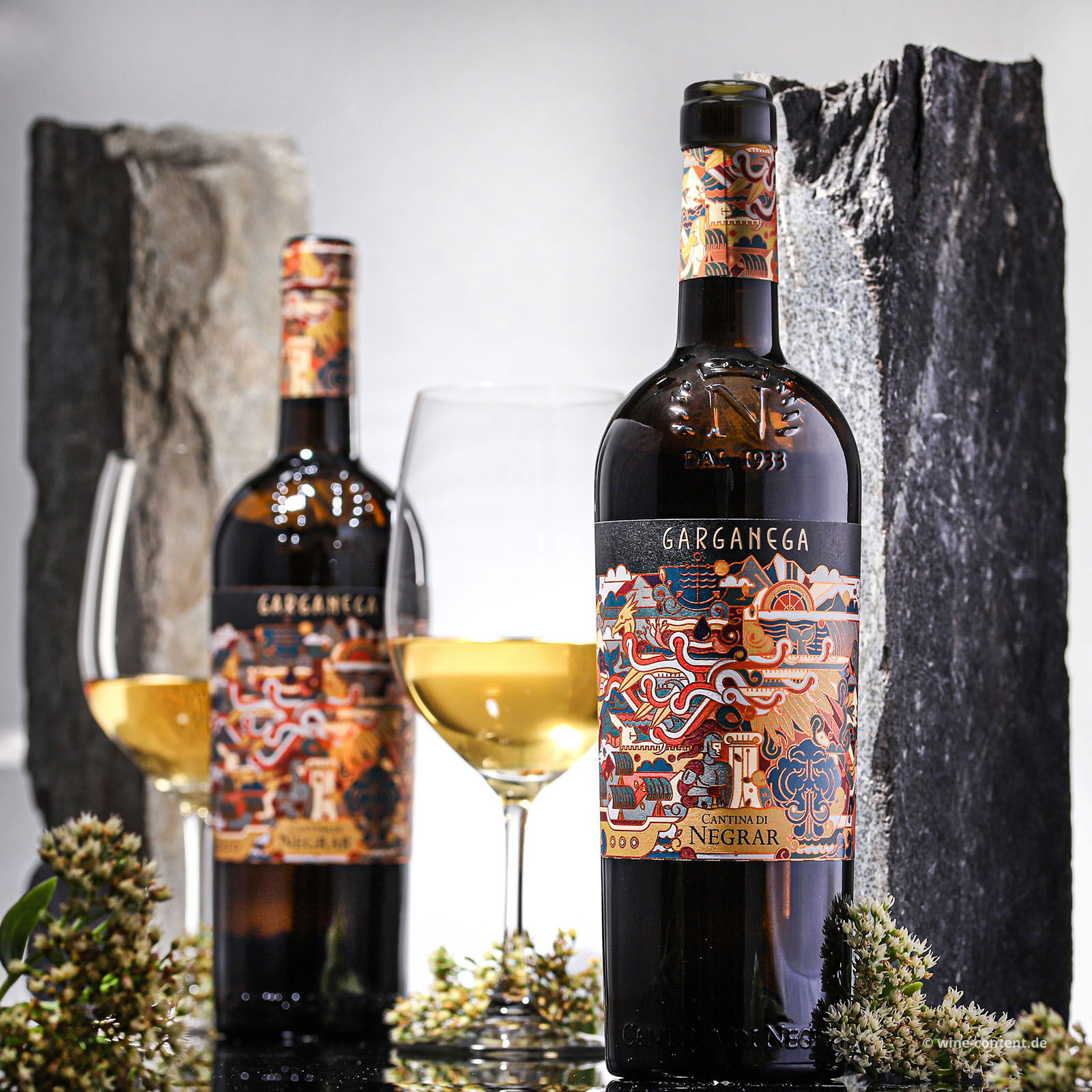 Garganega 2024 Il Viaggo